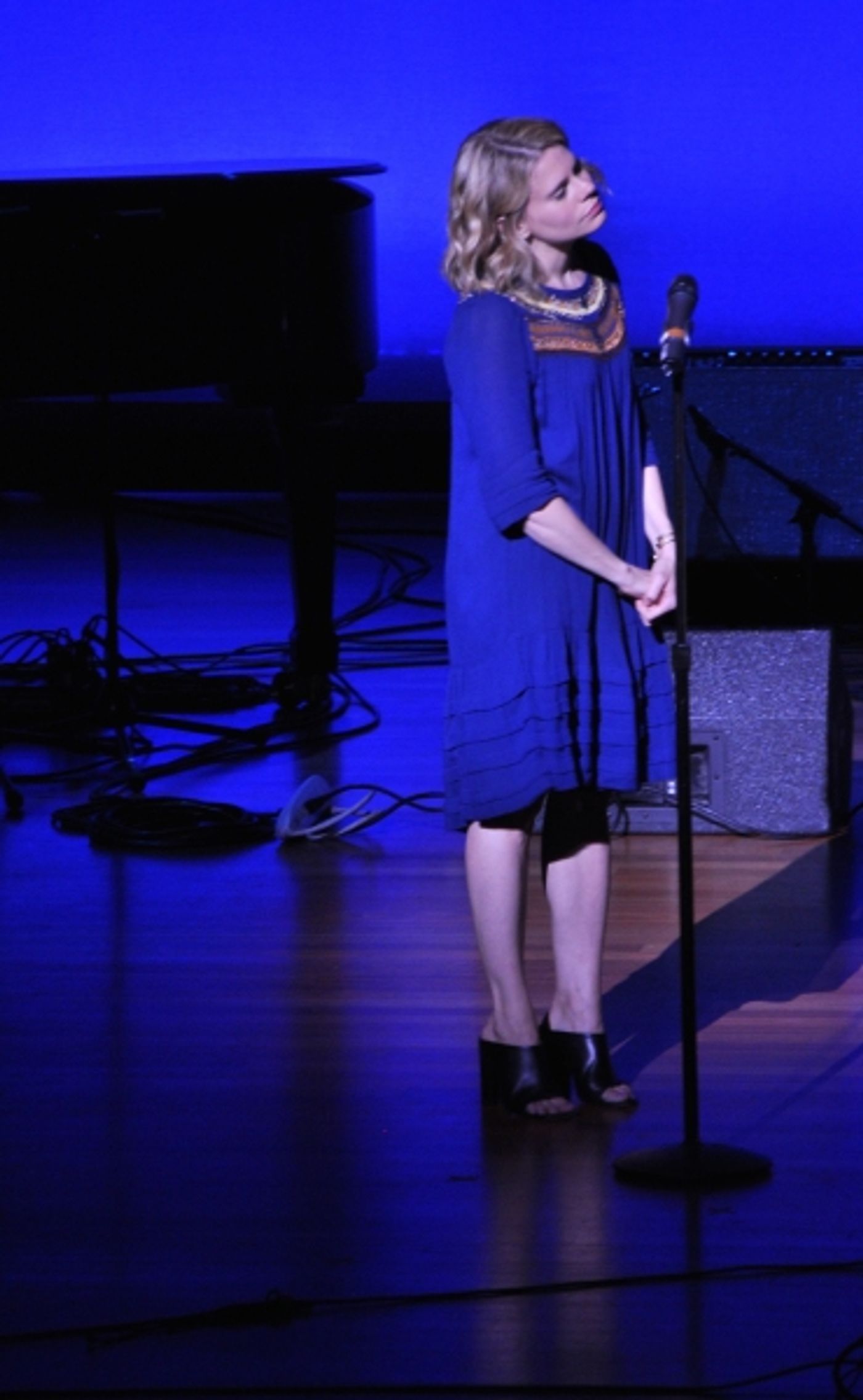 Photo Coverage: Broadway Unites! Inside BROADWAY STANDS UP FOR FREEDOM Concert  Image