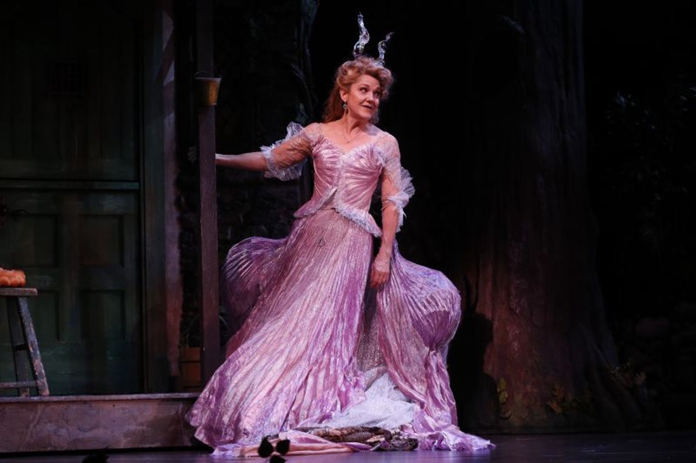 Photo Flash: First Look at Nancy Opel & Paige Faure in CINDERELLA!  Image