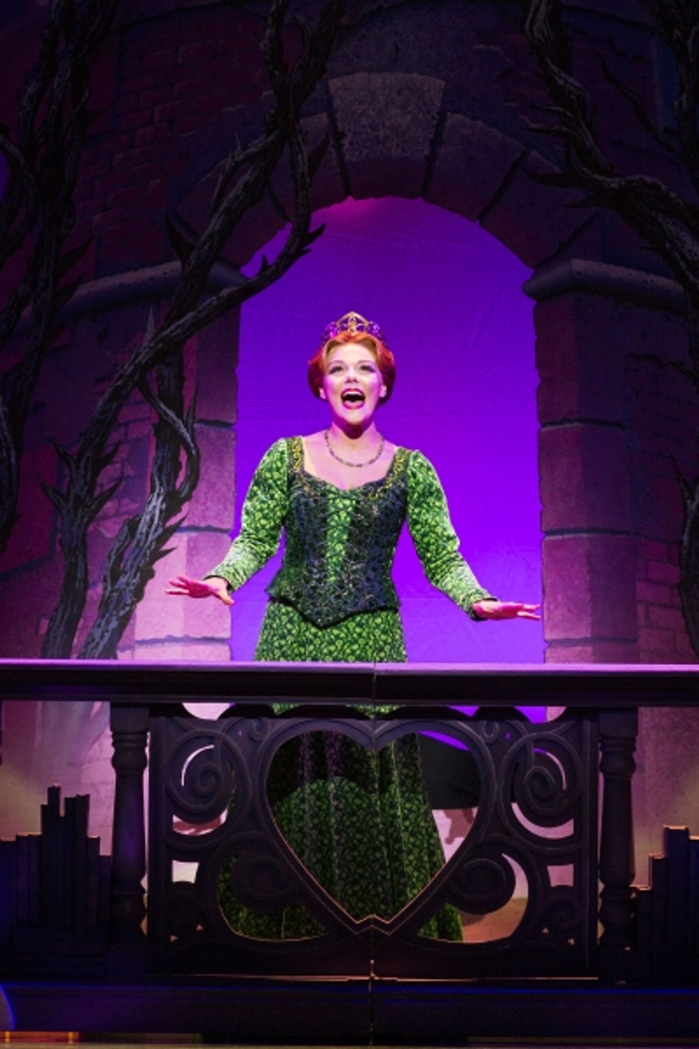Photo Coverage: SHREK THE MUSICAL UK Tour, Starring Chisnall And Brookes! Photo Coverage: SHREK THE MUSICAL UK Tour, Starring Chisnall And Brookes! Image