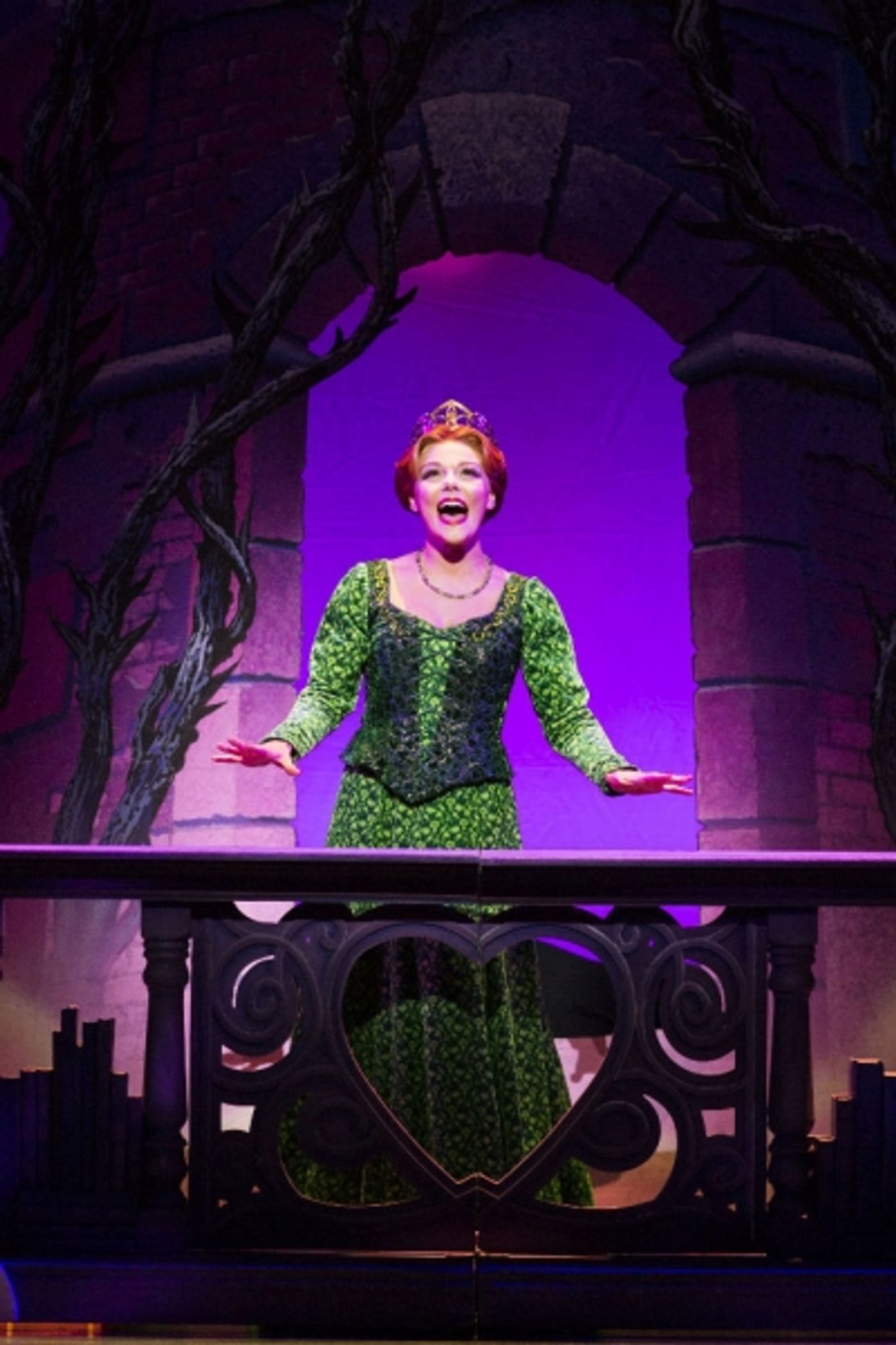 Photo Flash: First Look at Dean Chisnall, Faye Brookes and More in SHREK UK and Ireland Tour  Image