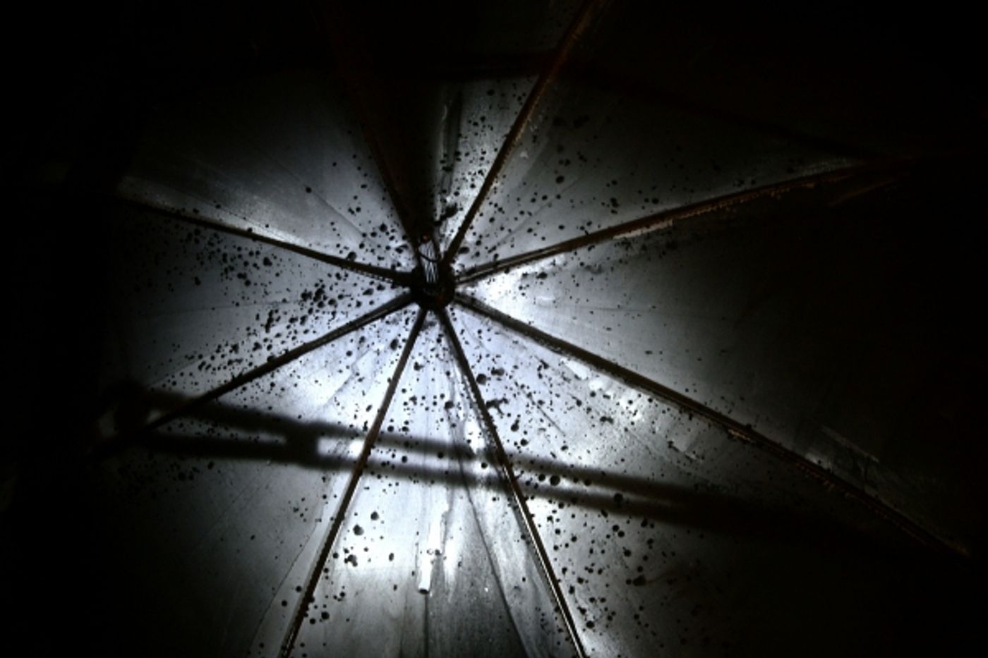 Photo Flash: First Look at Pepperdine Scotland's FORGET FIRE at Edinburgh Fringe  Image