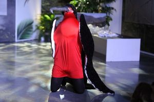 Vincent Cinque Photo