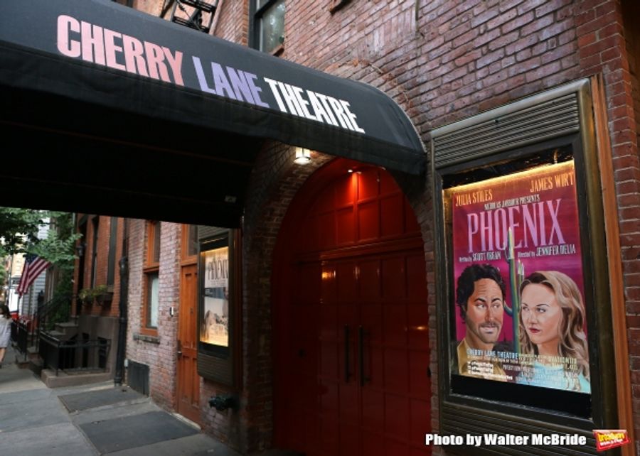 Photo Coverage: Julia Stiles and James Wirt Take First Bows in PHOENIX at Cherry Lane Theatre Image