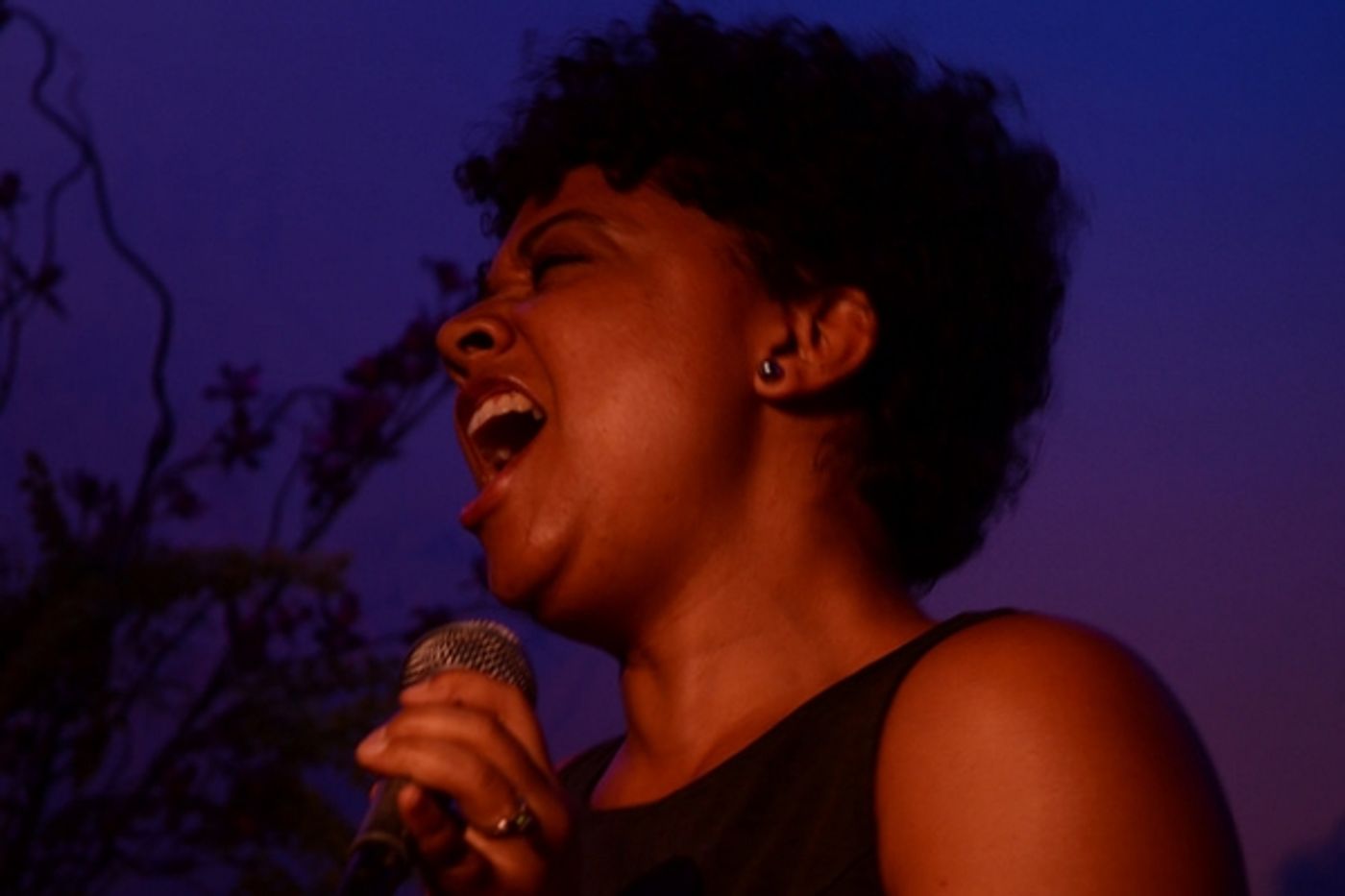 Photo Flash: Tony Danza, Annaleigh Ashford & More Pay Tribute to Elaine Stritch at the Metropolitan Room  Image