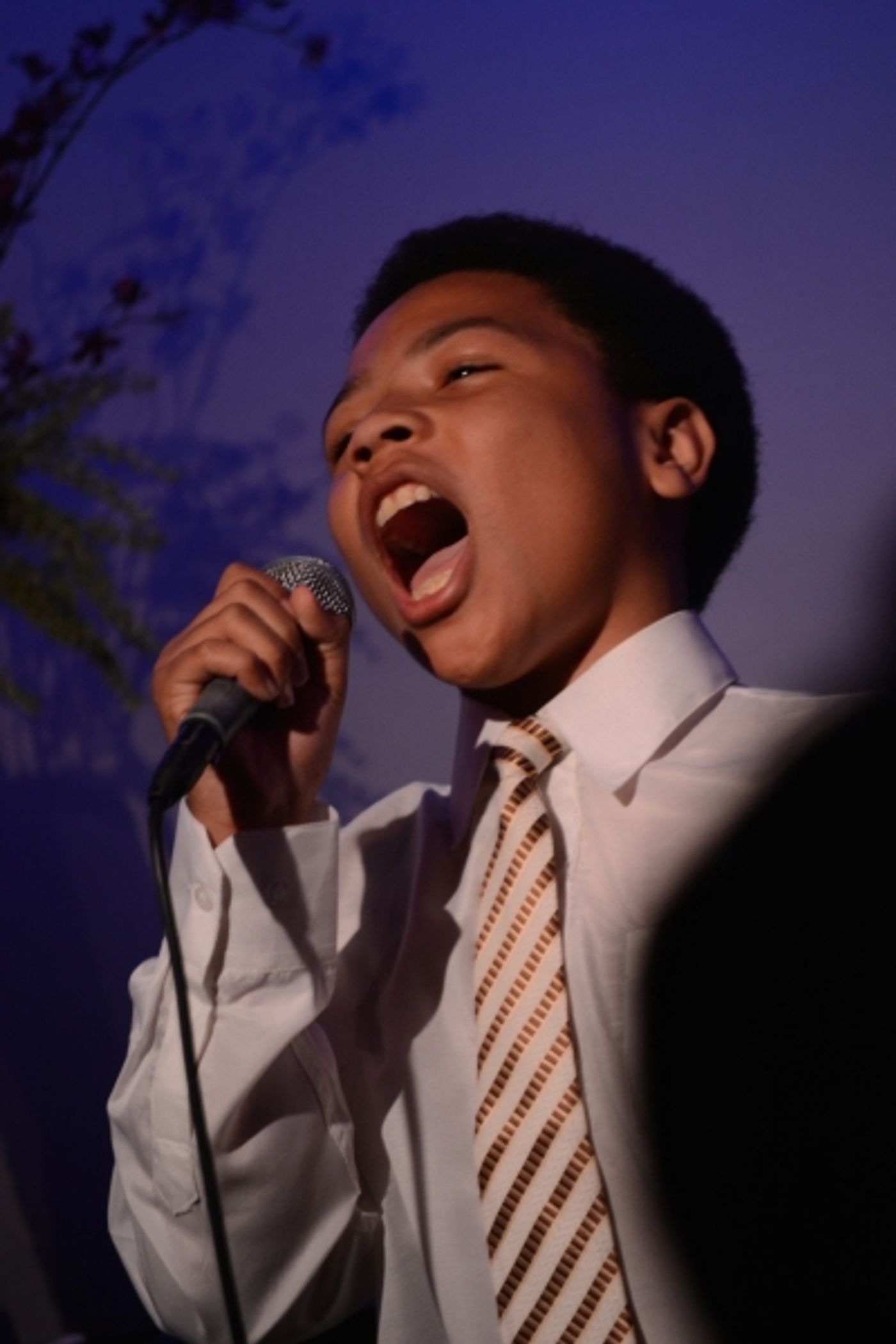 Photo Flash: Tony Danza, Annaleigh Ashford & More Pay Tribute to Elaine Stritch at the Metropolitan Room  Image