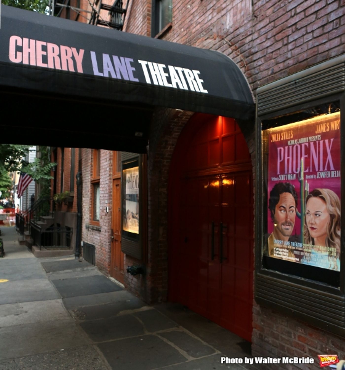 Photo Coverage: On the Red Carpet for Opening Night of PHOENIX  Image