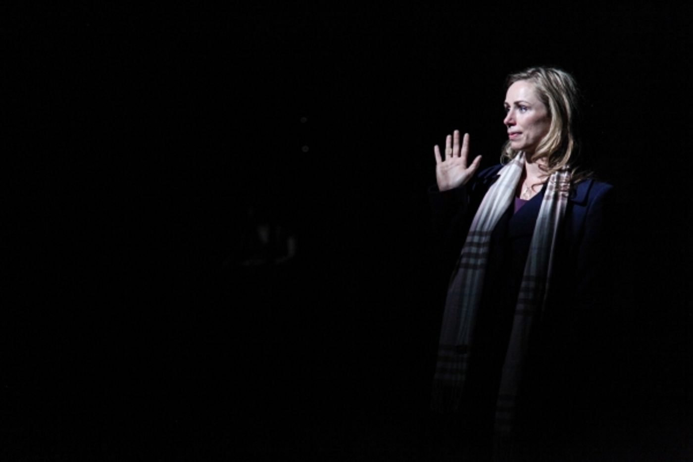 Photo Flash: Steppenwolf's 9th Annual FIRST LOOK REP, Featuring Three New Productions in Repertory Through 8/24  Image