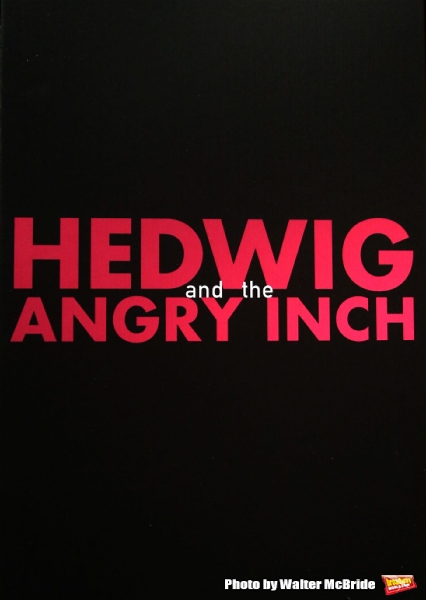 Photo Coverage: Andrew Rannells Meets the Press Alongside HEDWIG Cast & Creative Team!  Image