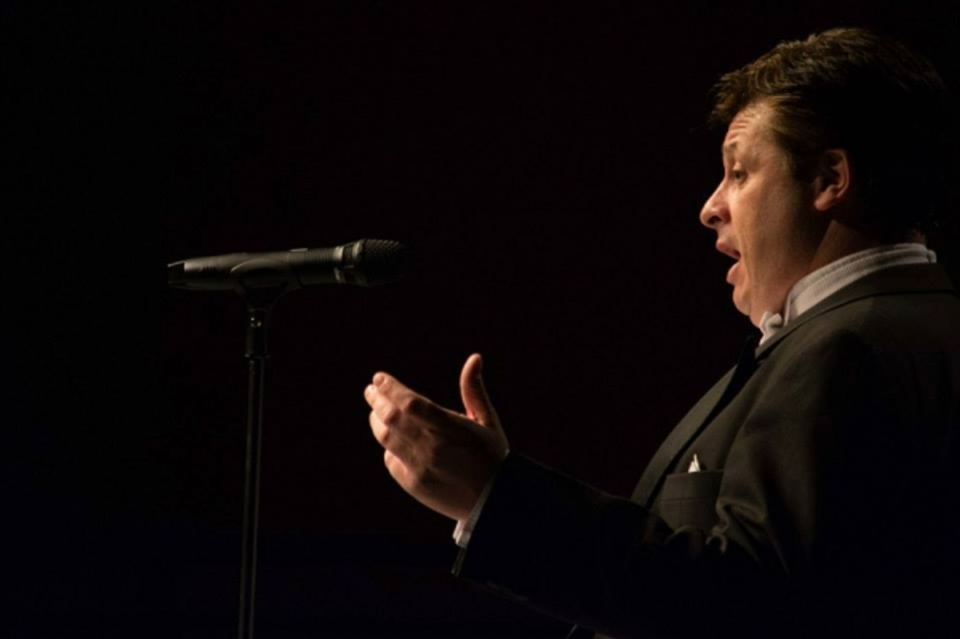 Photo Flash: Anthony Kearns Performs in Sacramento  Image