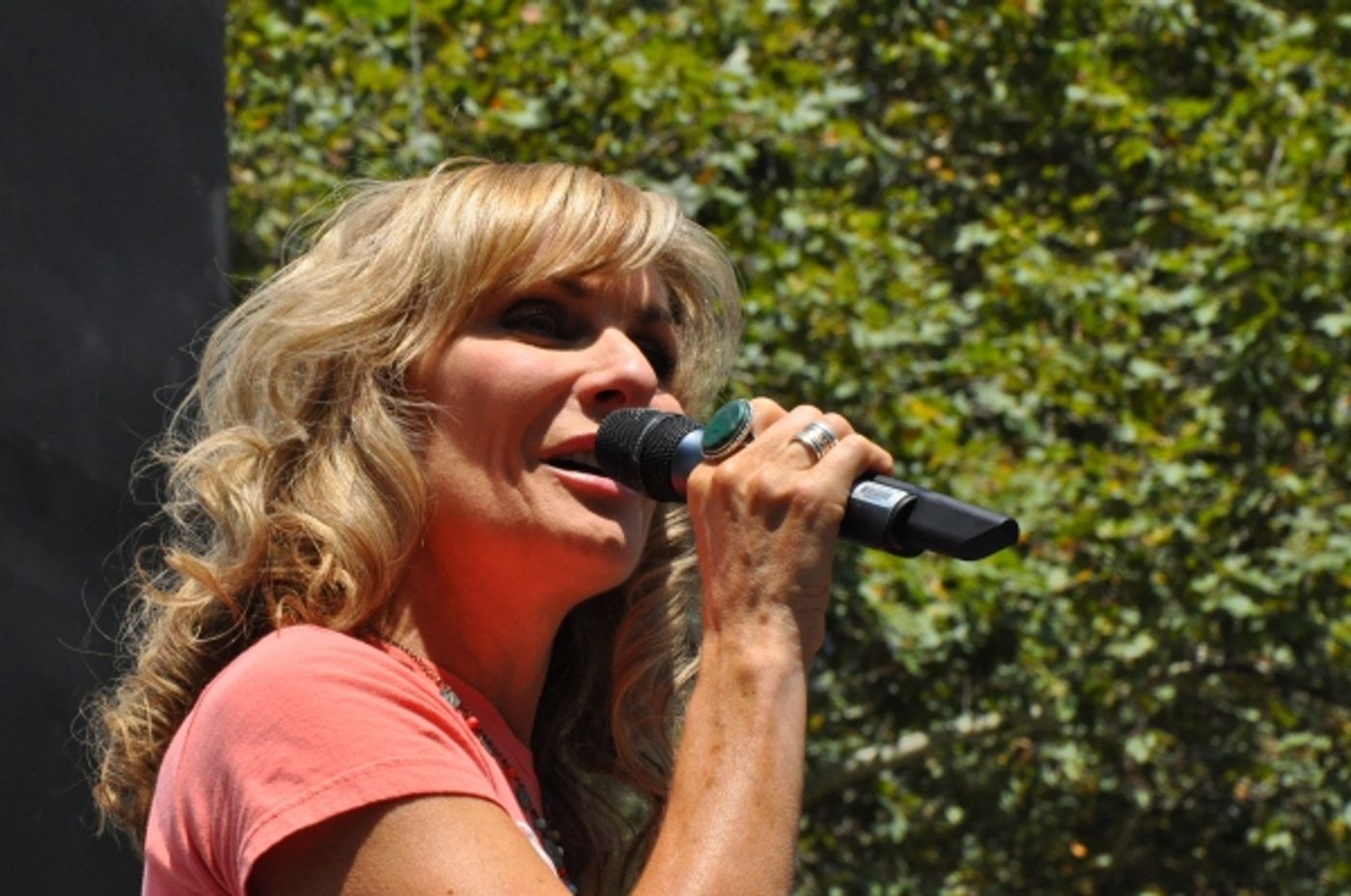 Photo Coverage: MATILDA, MOTOWN, ON THE TOWN & More Conclude BROADWAY IN BRYANT PARK's 2014 Season  Image