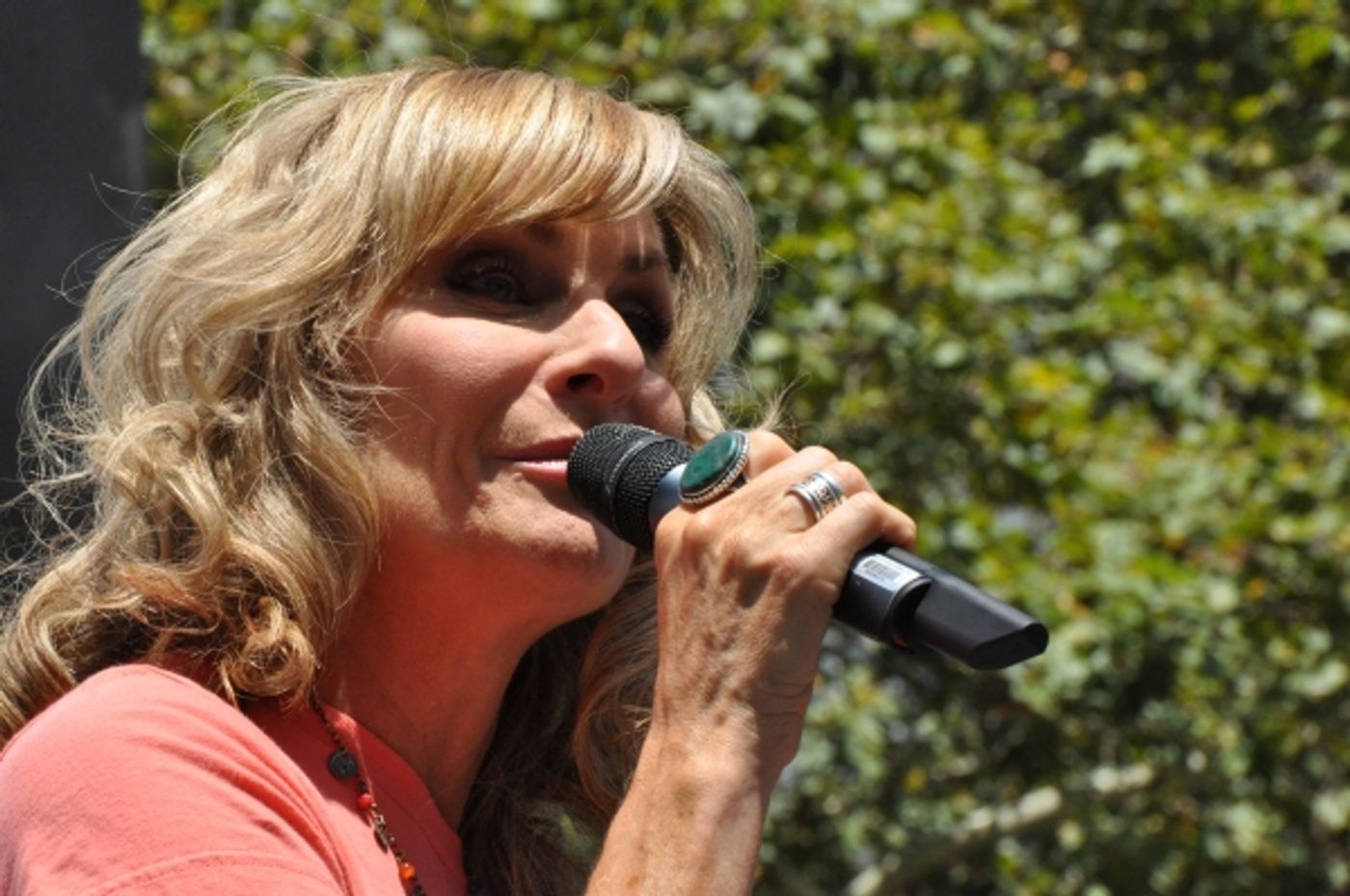 Photo Coverage: MATILDA, MOTOWN, ON THE TOWN & More Conclude BROADWAY IN BRYANT PARK's 2014 Season  Image