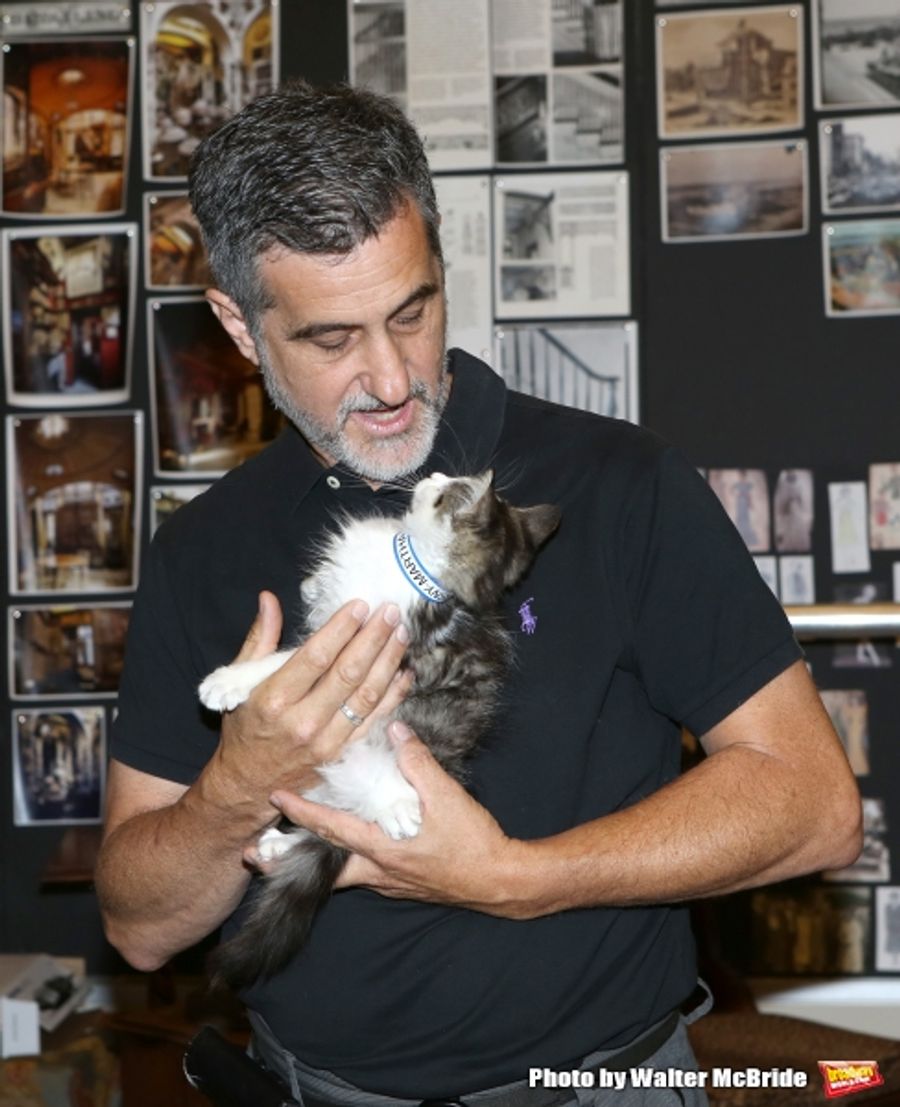 Photo Coverage: Calling All Kitties! YOU CAN'T TAKE IT WITH YOU Holds Feline Auditions Image