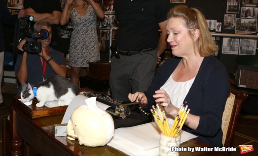 Photo Coverage: Calling All Kitties! YOU CAN'T TAKE IT WITH YOU Holds Feline Auditions Image