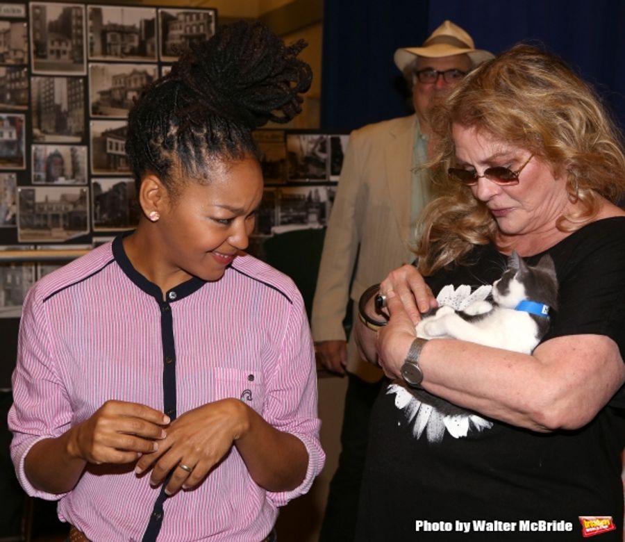 Photo Coverage: Calling All Kitties! YOU CAN'T TAKE IT WITH YOU Holds Feline Auditions Image