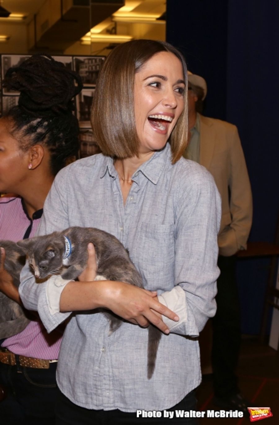 Photo Coverage: Calling All Kitties! YOU CAN'T TAKE IT WITH YOU Holds Feline Auditions Image
