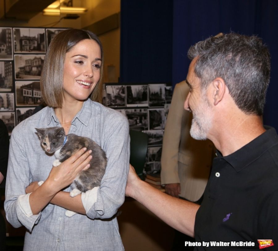 Photo Coverage: Calling All Kitties! YOU CAN'T TAKE IT WITH YOU Holds Feline Auditions Image