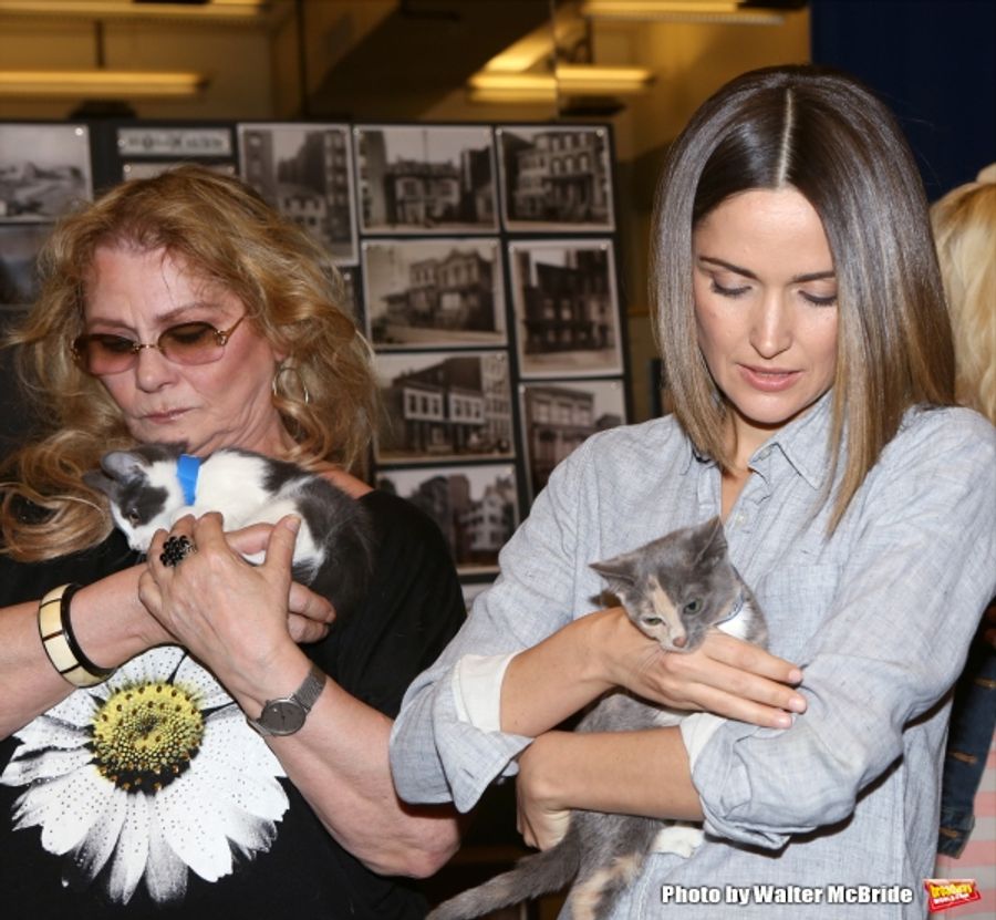 Photo Coverage: Calling All Kitties! YOU CAN'T TAKE IT WITH YOU Holds Feline Auditions Image