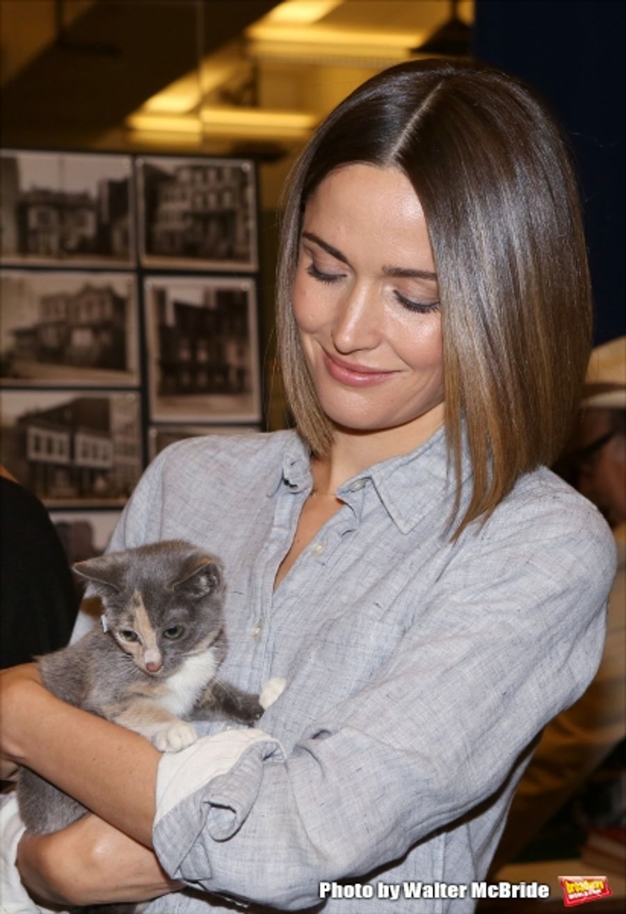 Photo Coverage: Calling All Kitties! YOU CAN'T TAKE IT WITH YOU Holds Feline Auditions Image