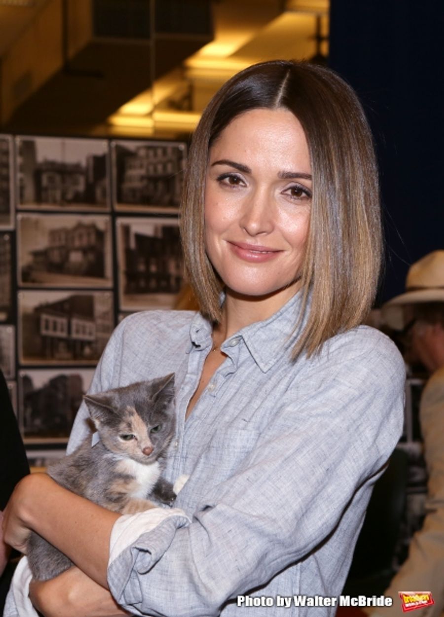 Photo Coverage: Calling All Kitties! YOU CAN'T TAKE IT WITH YOU Holds Feline Auditions Image