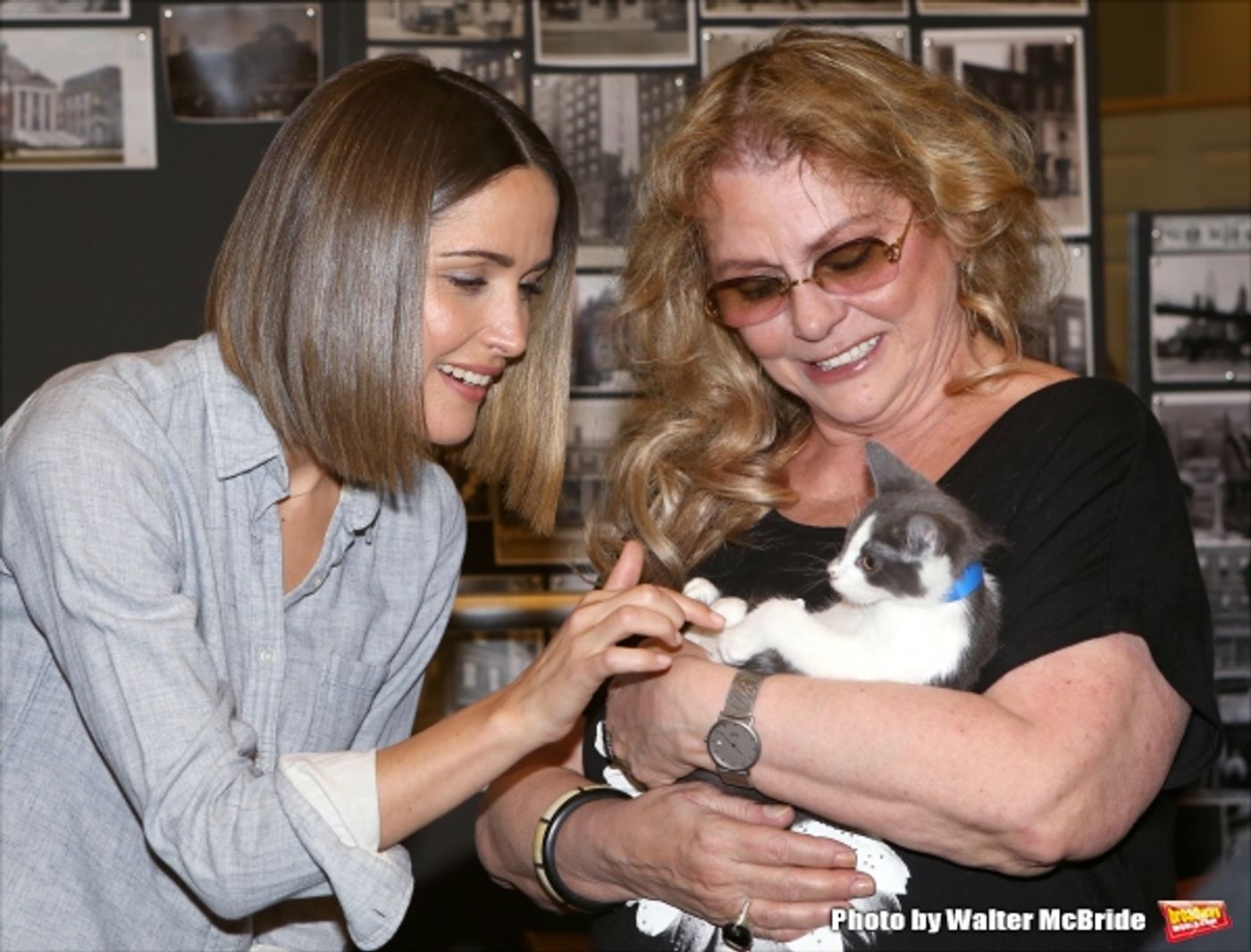 Photo Coverage: Calling All Kitties! YOU CAN'T TAKE IT WITH YOU Holds Feline Auditions  Image