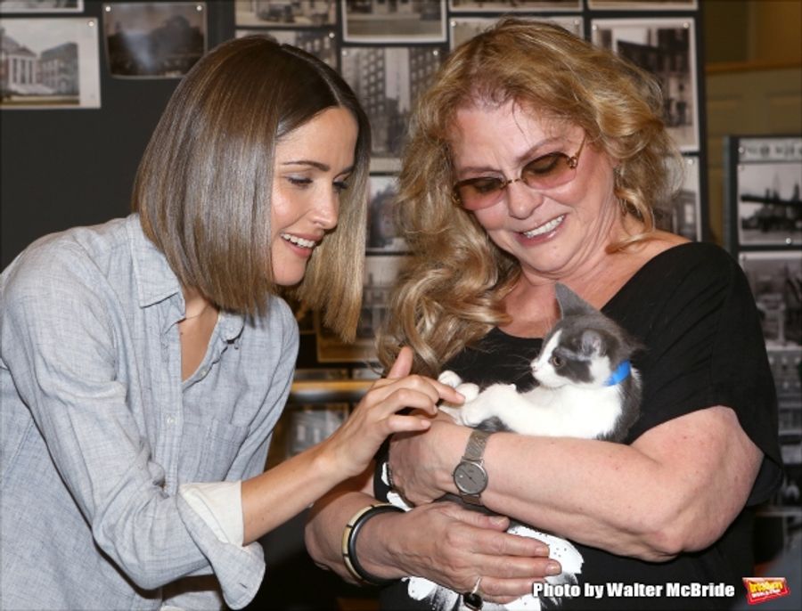 Photo Coverage: Calling All Kitties! YOU CAN'T TAKE IT WITH YOU Holds Feline Auditions Image