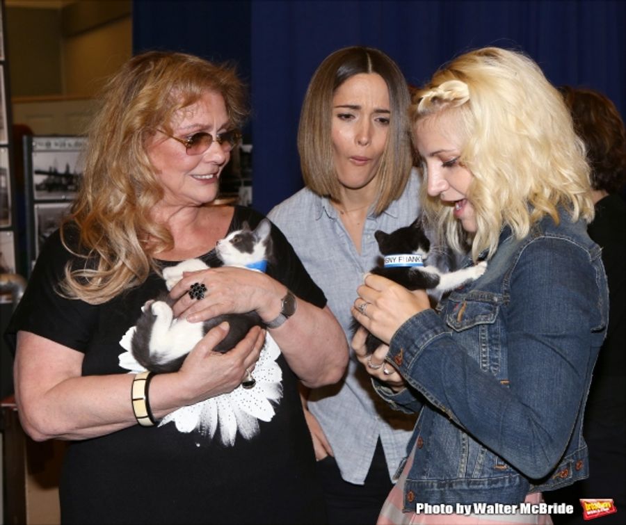 Photo Coverage: Calling All Kitties! YOU CAN'T TAKE IT WITH YOU Holds Feline Auditions Image