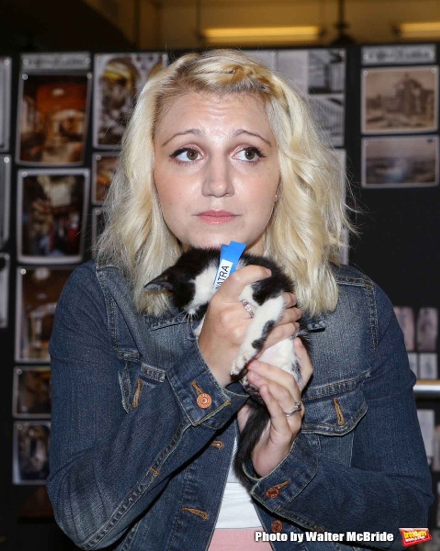 Photo Coverage: Calling All Kitties! YOU CAN'T TAKE IT WITH YOU Holds Feline Auditions  Image