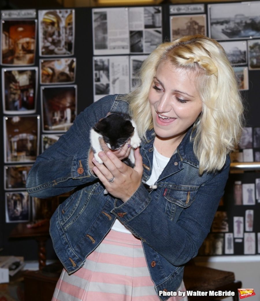 Photo Coverage: Calling All Kitties! YOU CAN'T TAKE IT WITH YOU Holds Feline Auditions Image