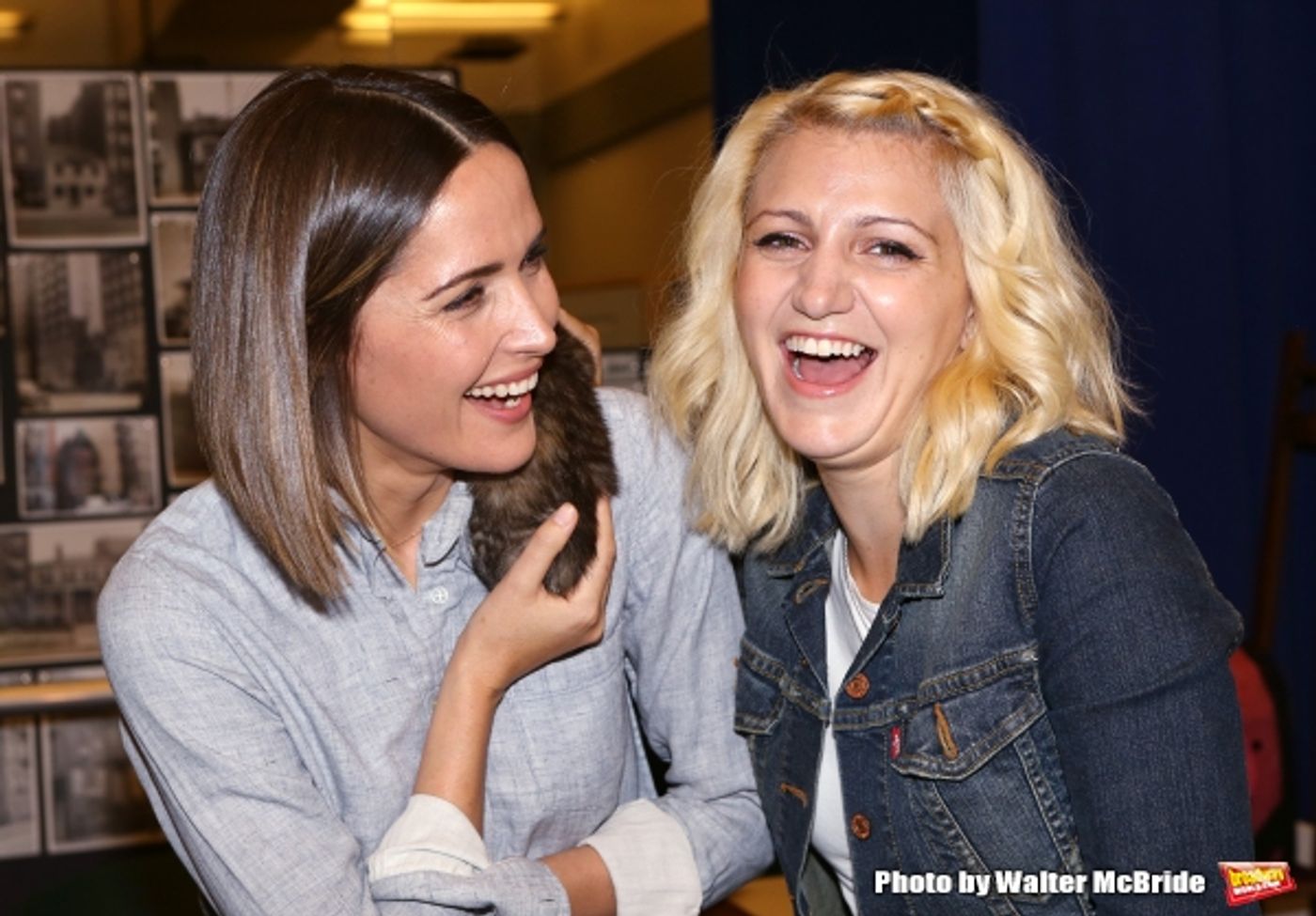 Photo Coverage: Calling All Kitties! YOU CAN'T TAKE IT WITH YOU Holds Feline Auditions  Image