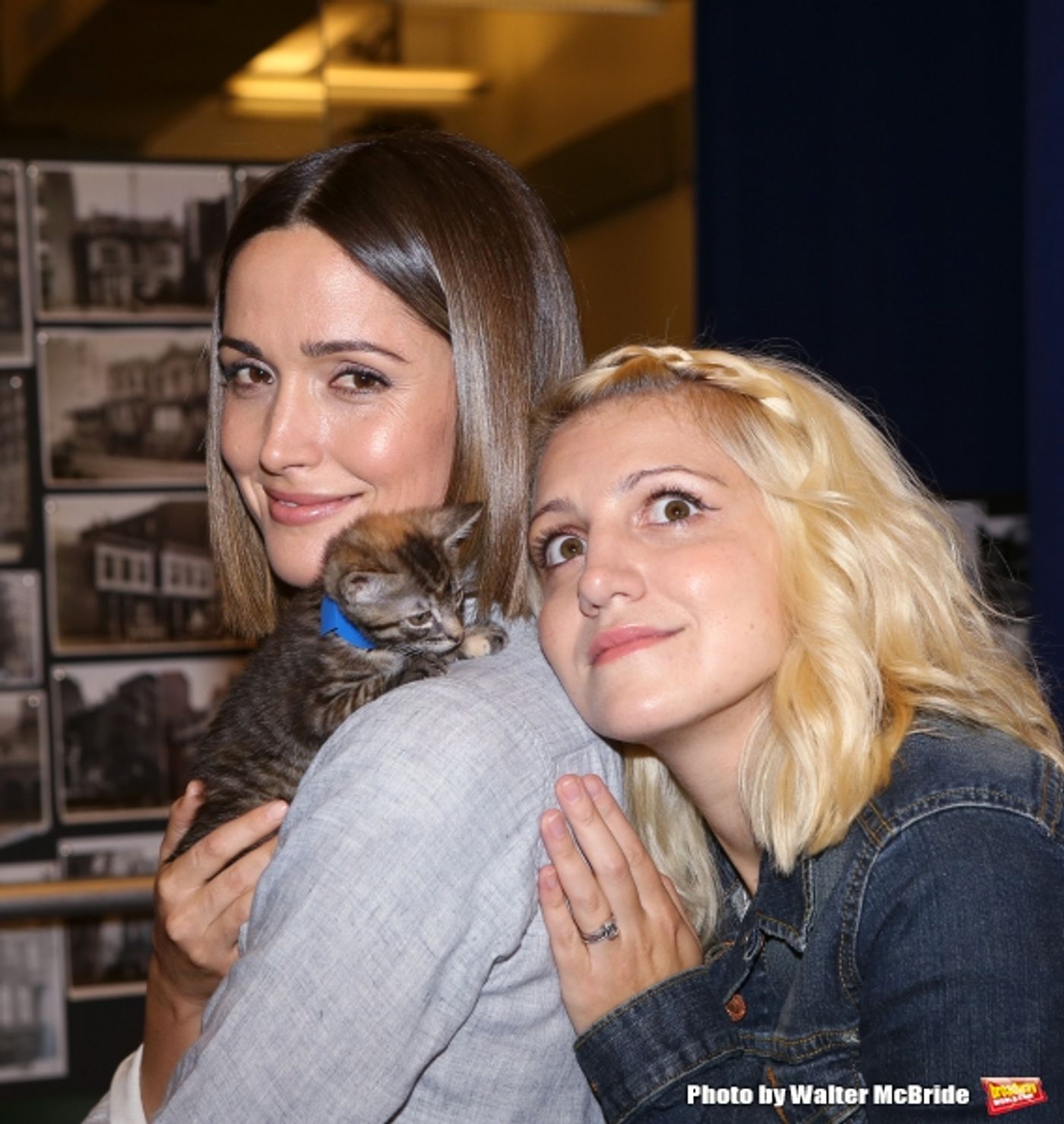 Photo Coverage: Calling All Kitties! YOU CAN'T TAKE IT WITH YOU Holds Feline Auditions  Image