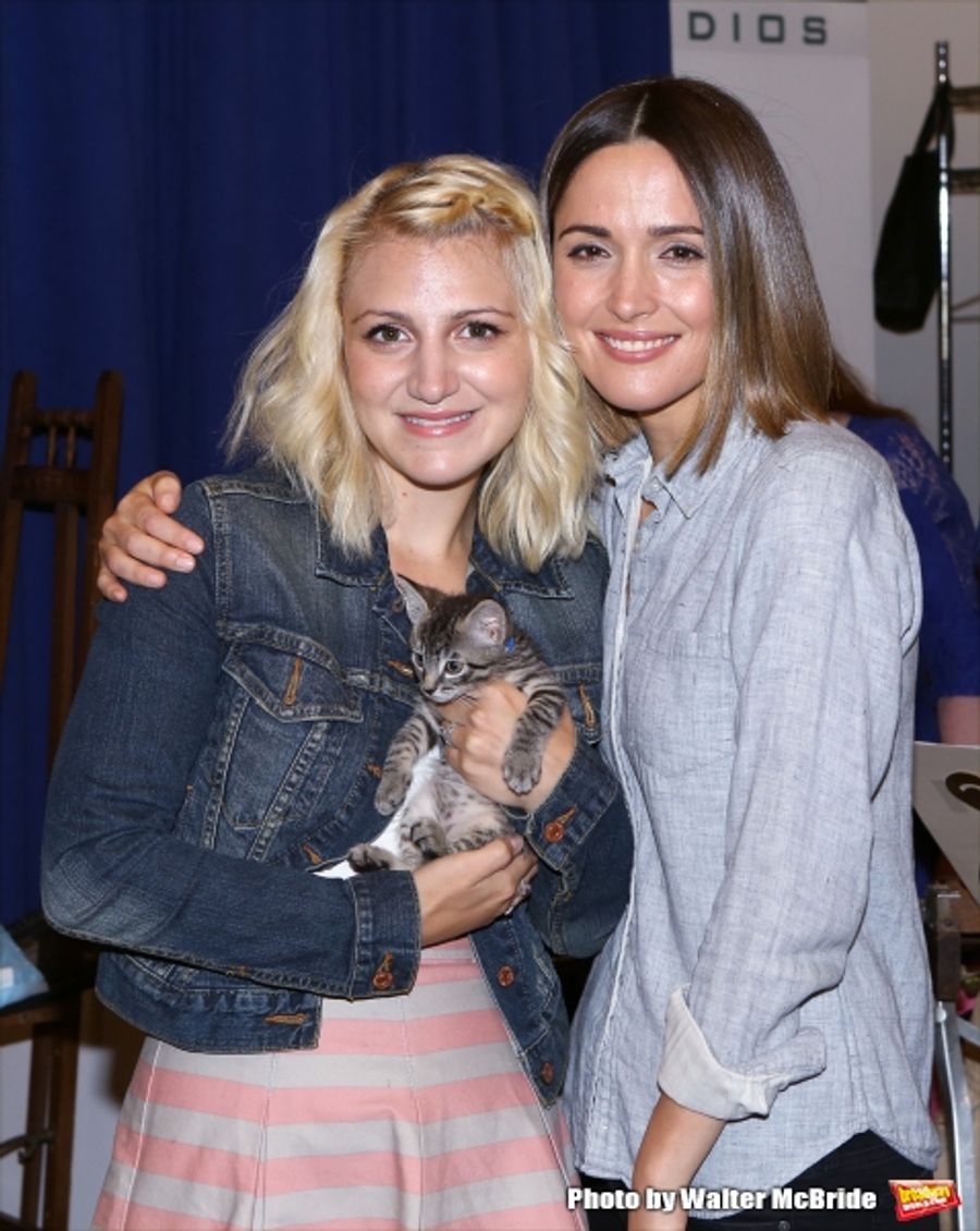 Photo Coverage: Calling All Kitties! YOU CAN'T TAKE IT WITH YOU Holds Feline Auditions Image