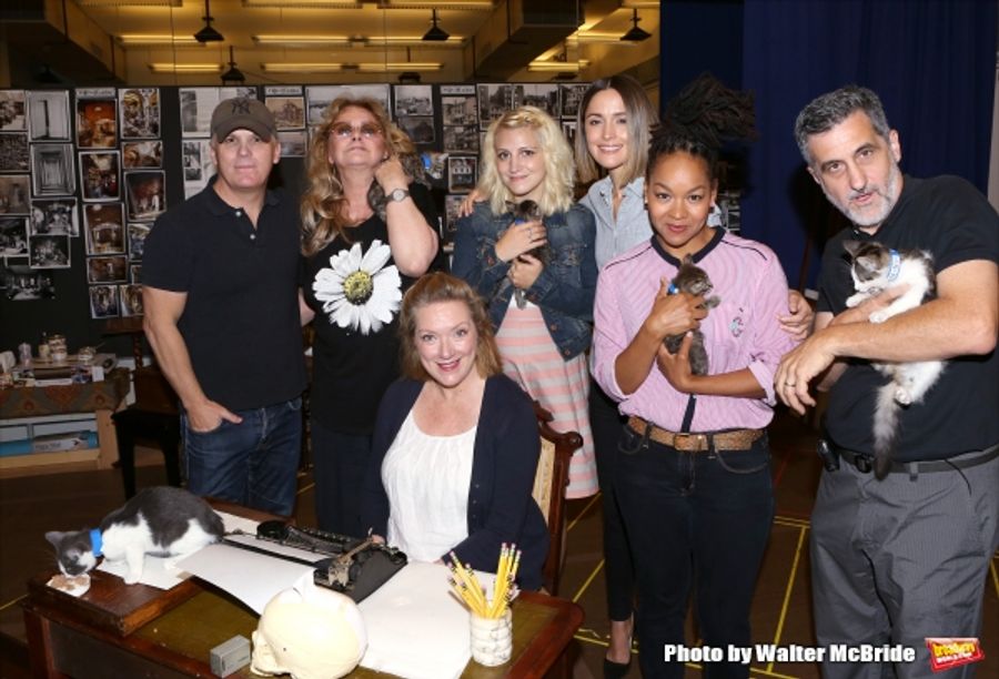 Photo Coverage: Calling All Kitties! YOU CAN'T TAKE IT WITH YOU Holds Feline Auditions Image