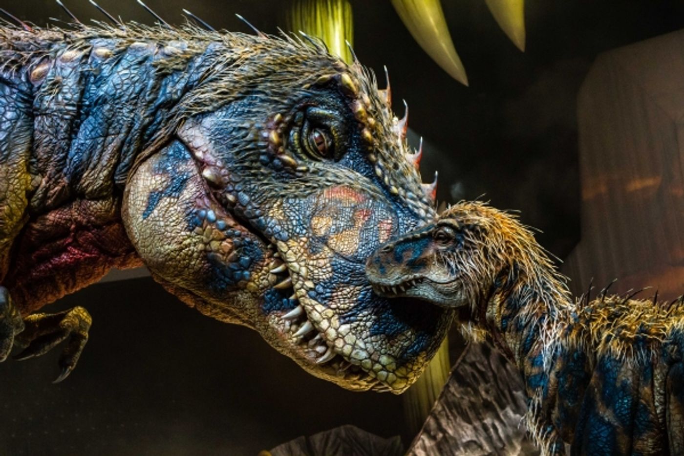 Photo Flash: First Look at Feathered Beasts in WALKING WITH DINOSAURS Arena Show  Image