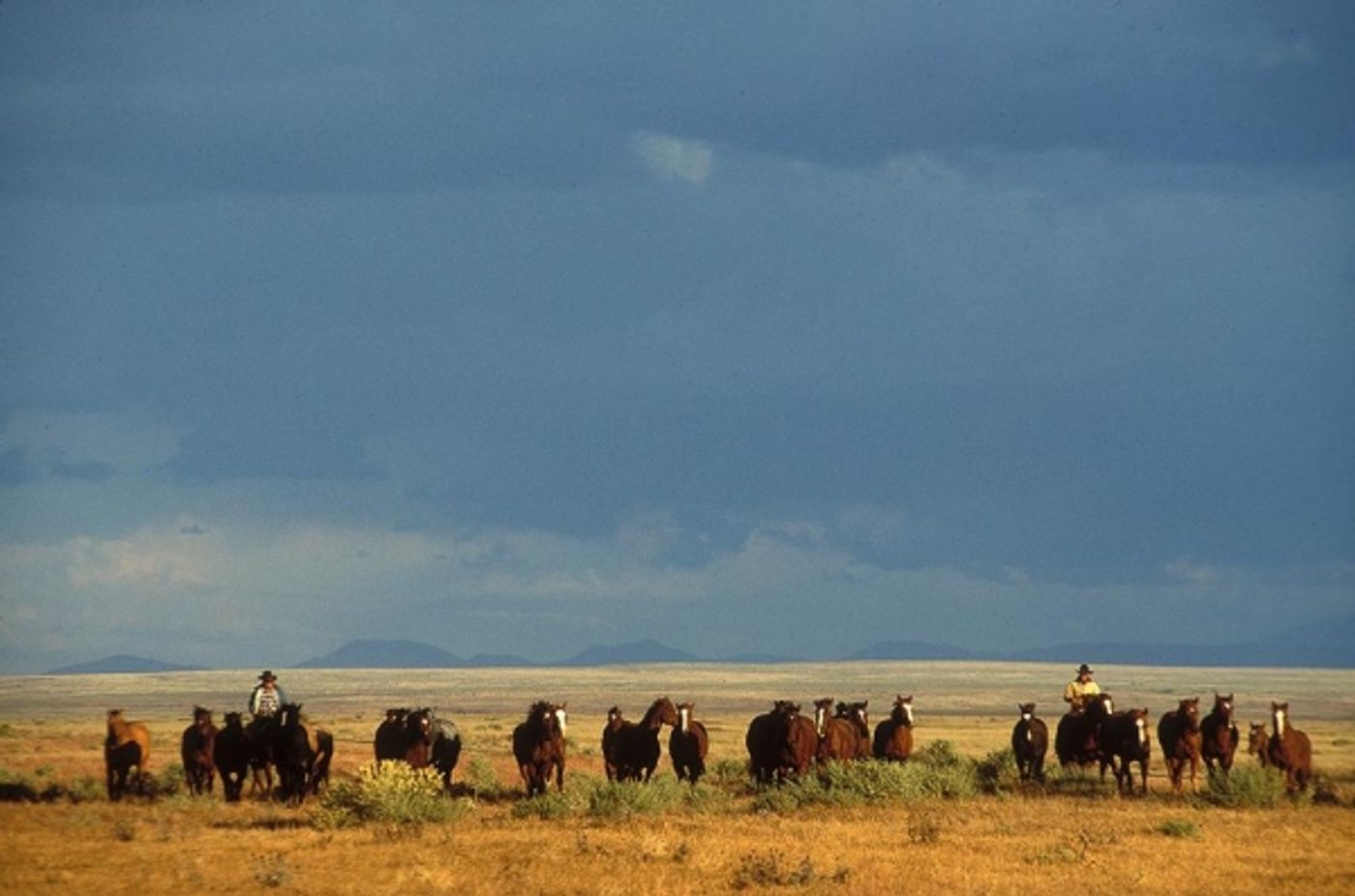Photo Flash: Sneak Peek at 2014 TRAPPINGS OF THE AMERICAN WEST Exhibition, Coming to Museum of Northern Arizona This Fall  Image