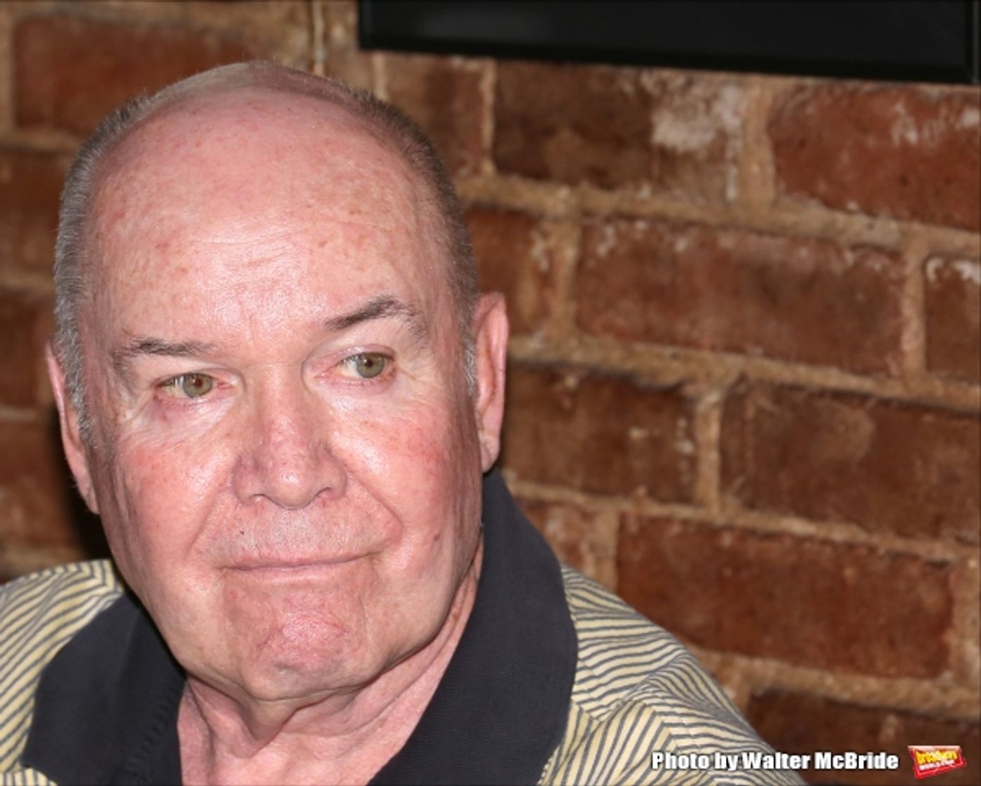 Photo Coverage: Welcome Back to Broadway! IT's ONLY A PLAY Company Greets the Press at Joe Allen Image