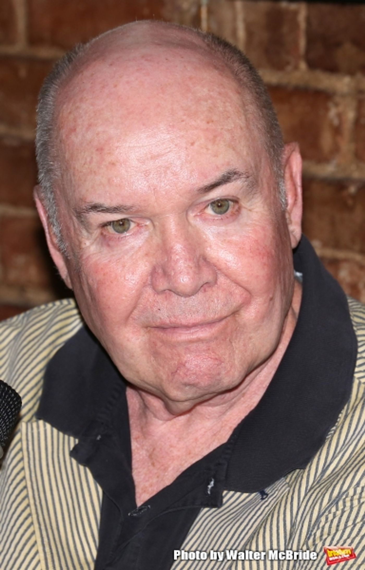 Photo Coverage: Welcome Back to Broadway! IT's ONLY A PLAY Company Greets the Press at Joe Allen Image