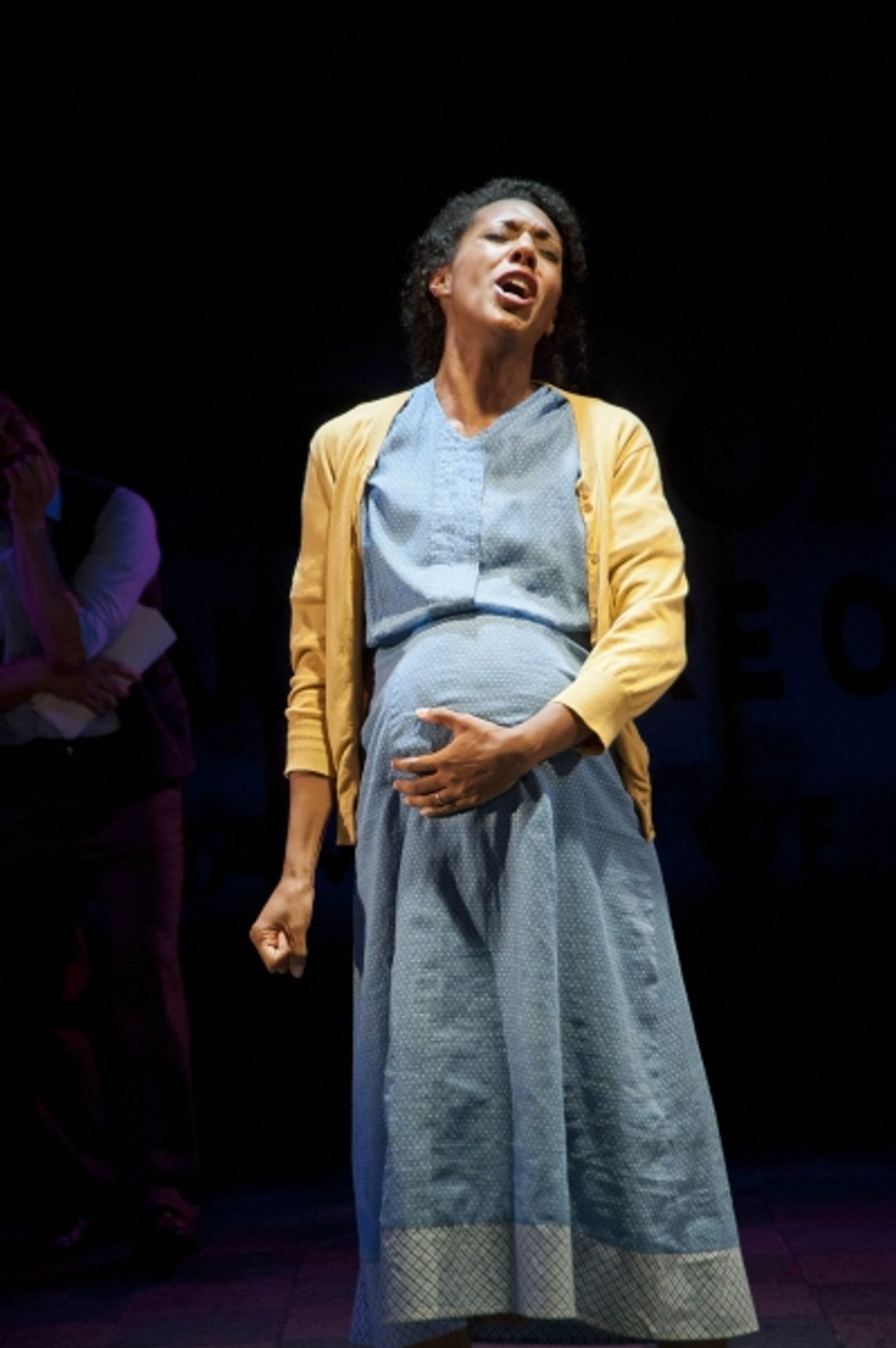 Photo Flash: First Look at Barrington Stage Company's ROMANCE IN HARD TIMES  Image