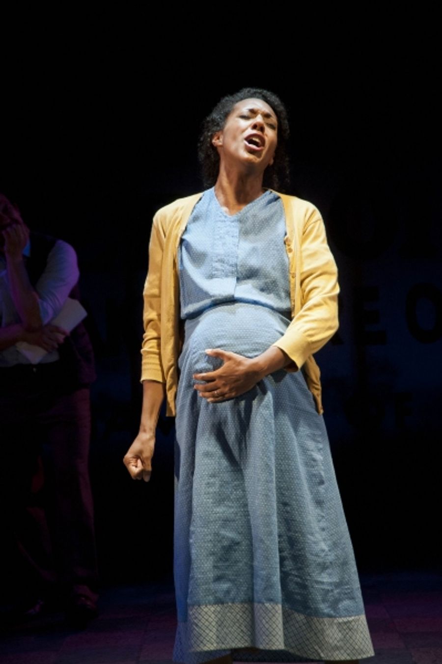 Photo Flash: First Look at Barrington Stage Company's ROMANCE IN HARD TIMES Image