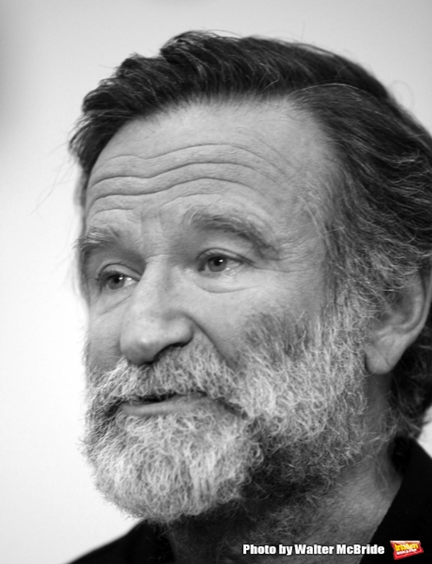Photo Flash: Remembering Robin Williams  Image