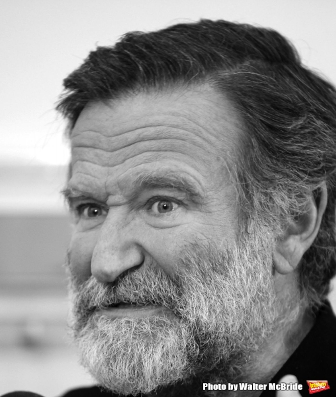 Photo Flash: Remembering Robin Williams  Image