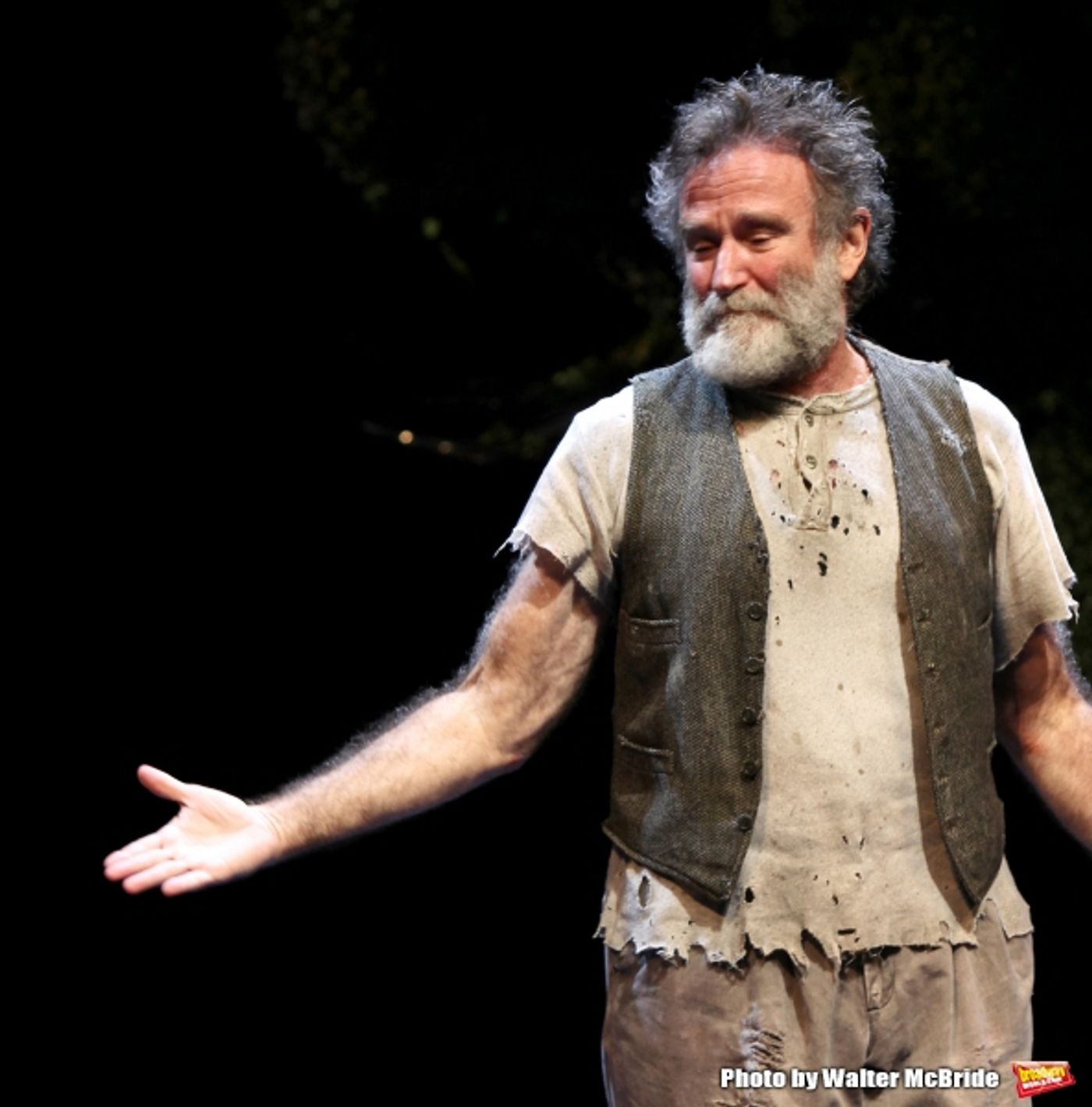 Photo Flash: Remembering Robin Williams  Image