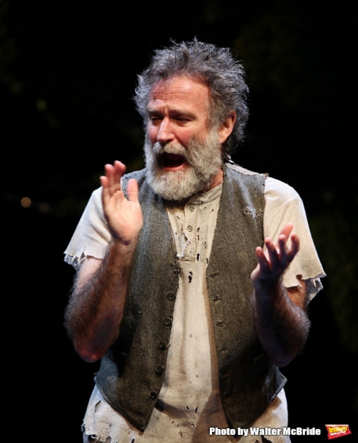 Robin Willams during the Broadway Opening Night Curtain Call for ''Bengal Tiger at the Baghdad Zoo'' at the Richard Rodgers Theatre in New York City at 
