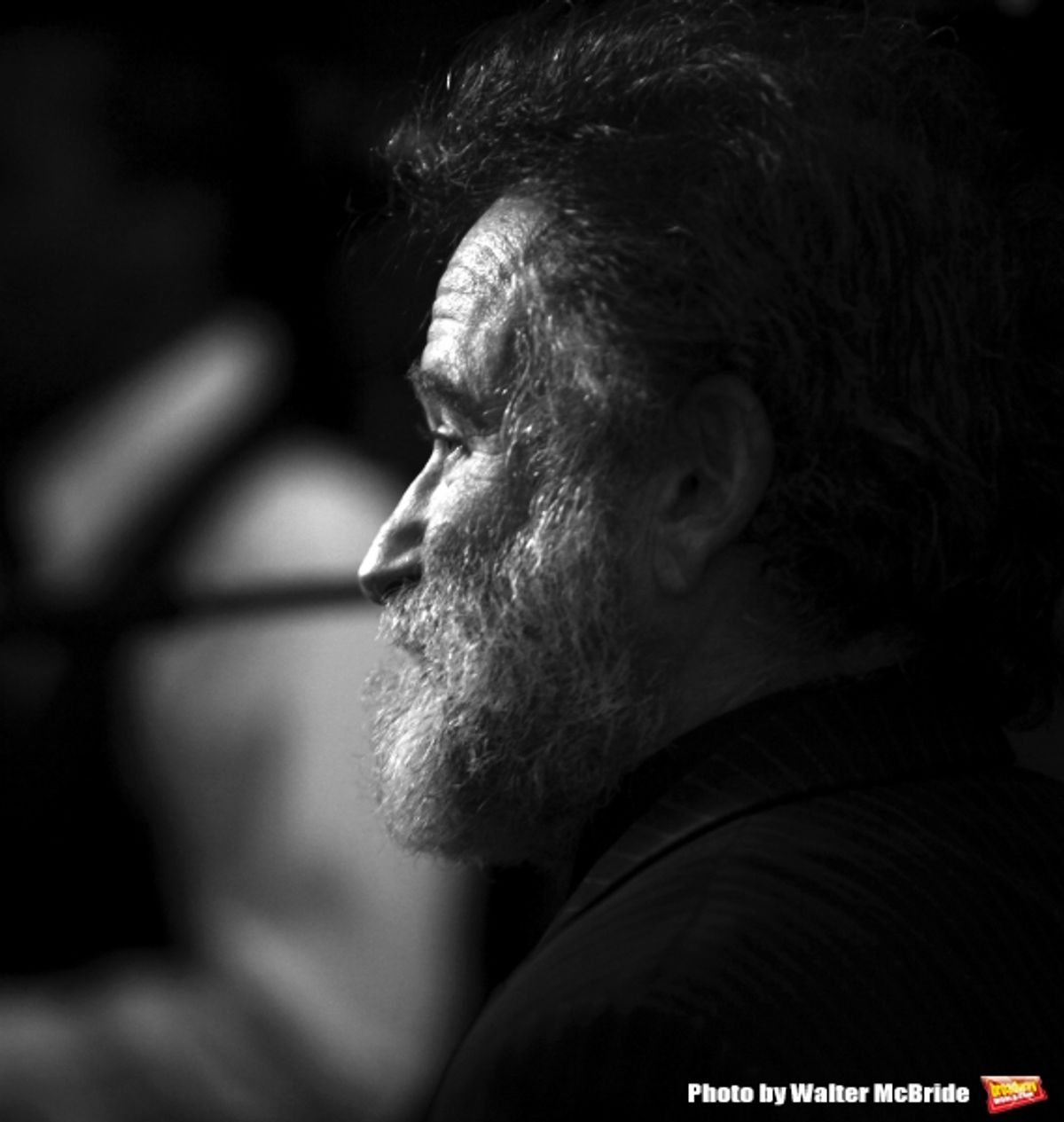 Robin Williams attending the Broadway Opening Night After Party for ''Bengal Tiger at the Baghdad Zoo'' at espace in New York City at 