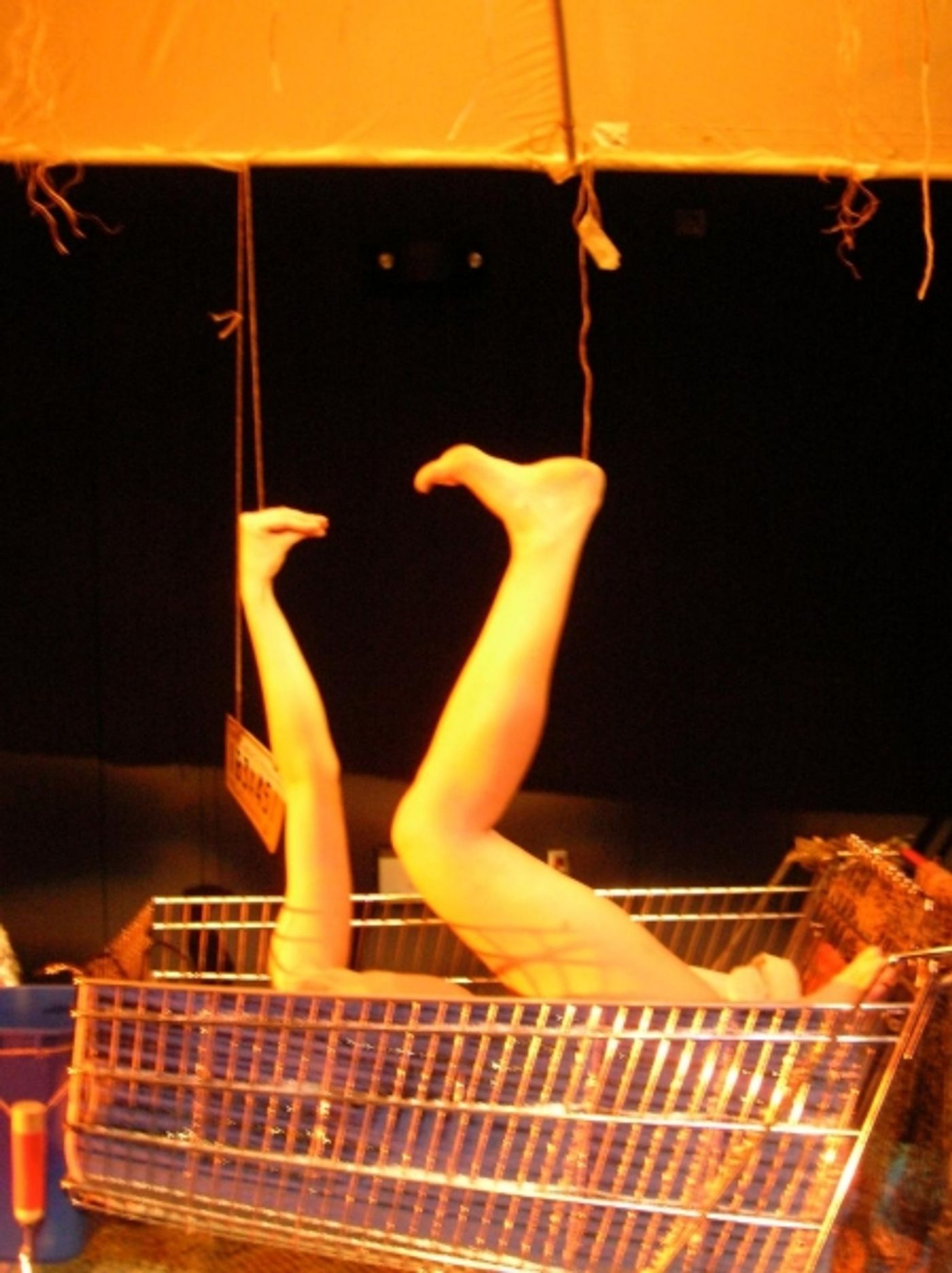 Photo Flash: First Look at Glass Half Full Theatre's THE ORCHID FLOTILLA  Image