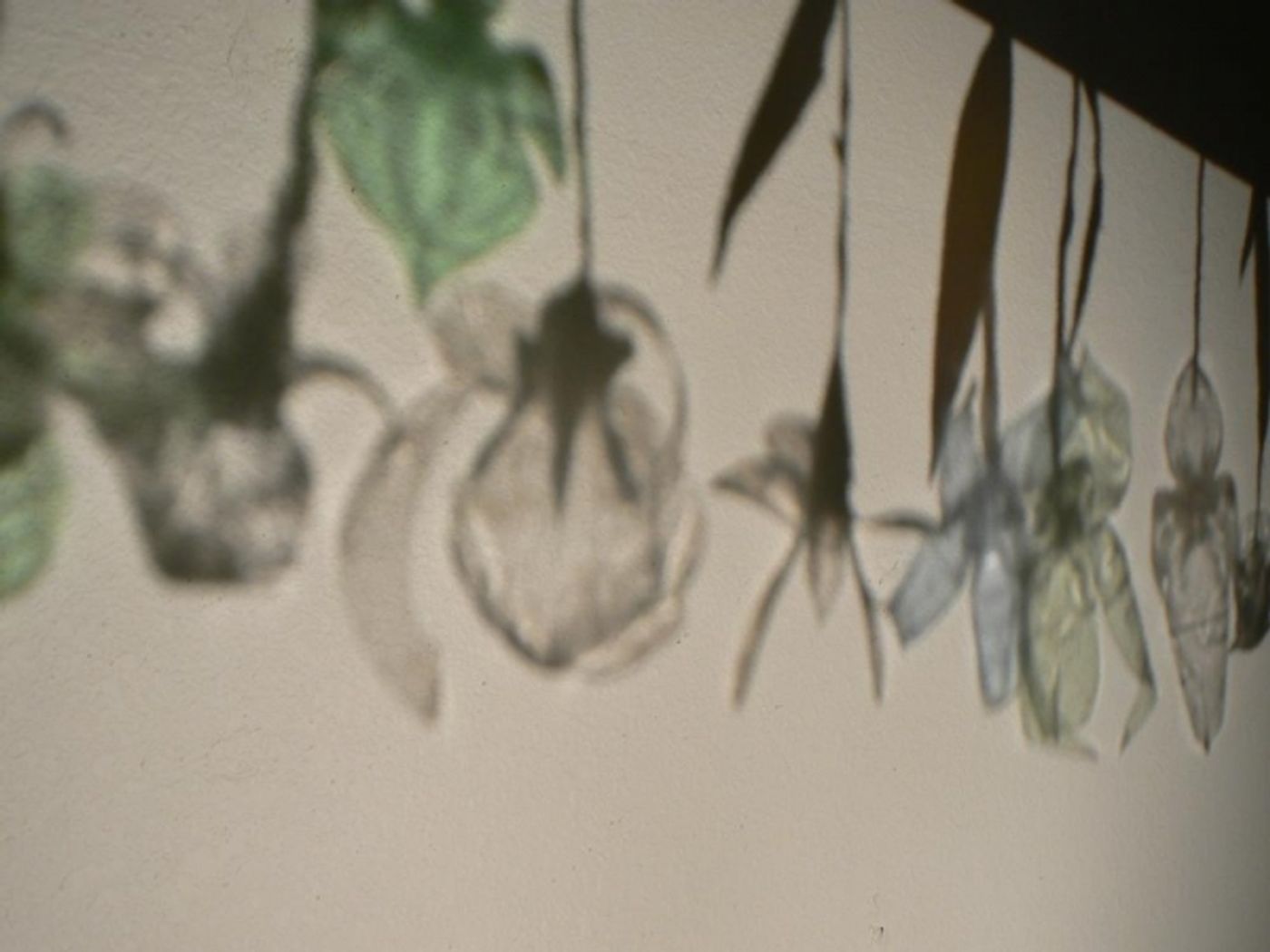 Photo Flash: First Look at Glass Half Full Theatre's THE ORCHID FLOTILLA  Image