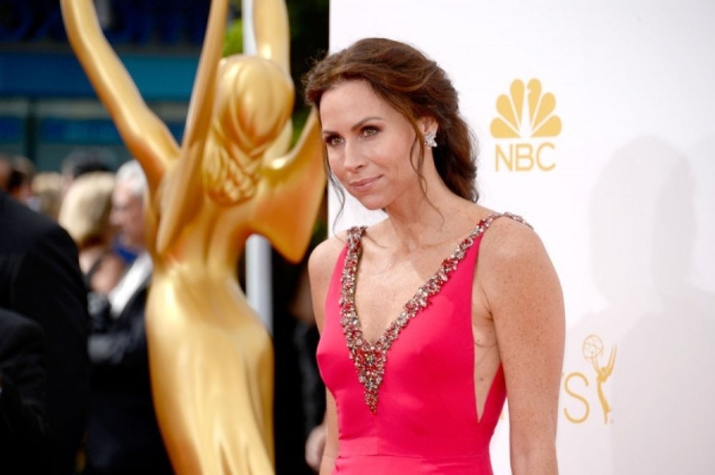 Photo Flash: On the 2014 Emmys Red Carpet - Part 1!  Image
