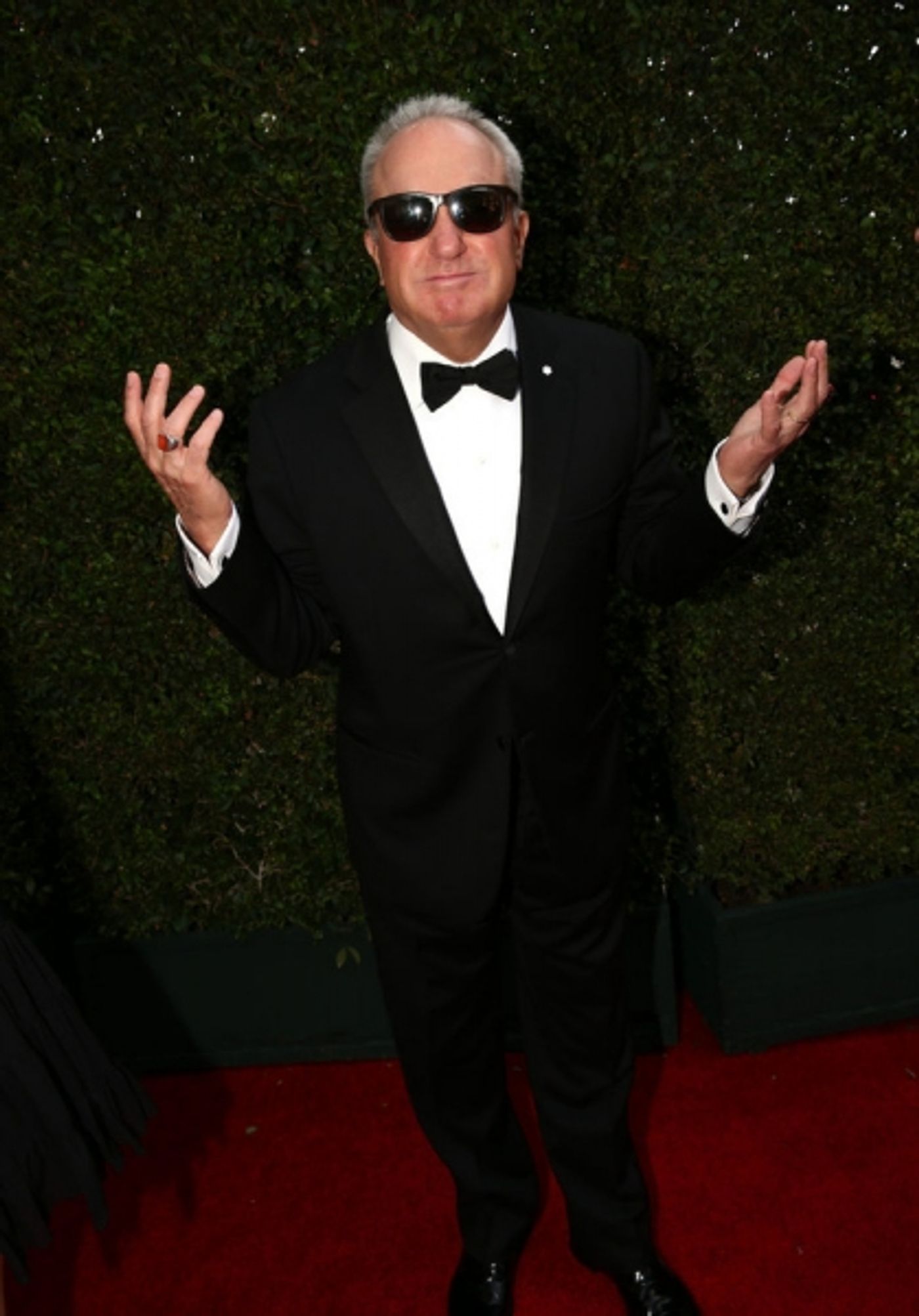 Photo Flash: On the 2014 Emmys Red Carpet - Part 1!  Image