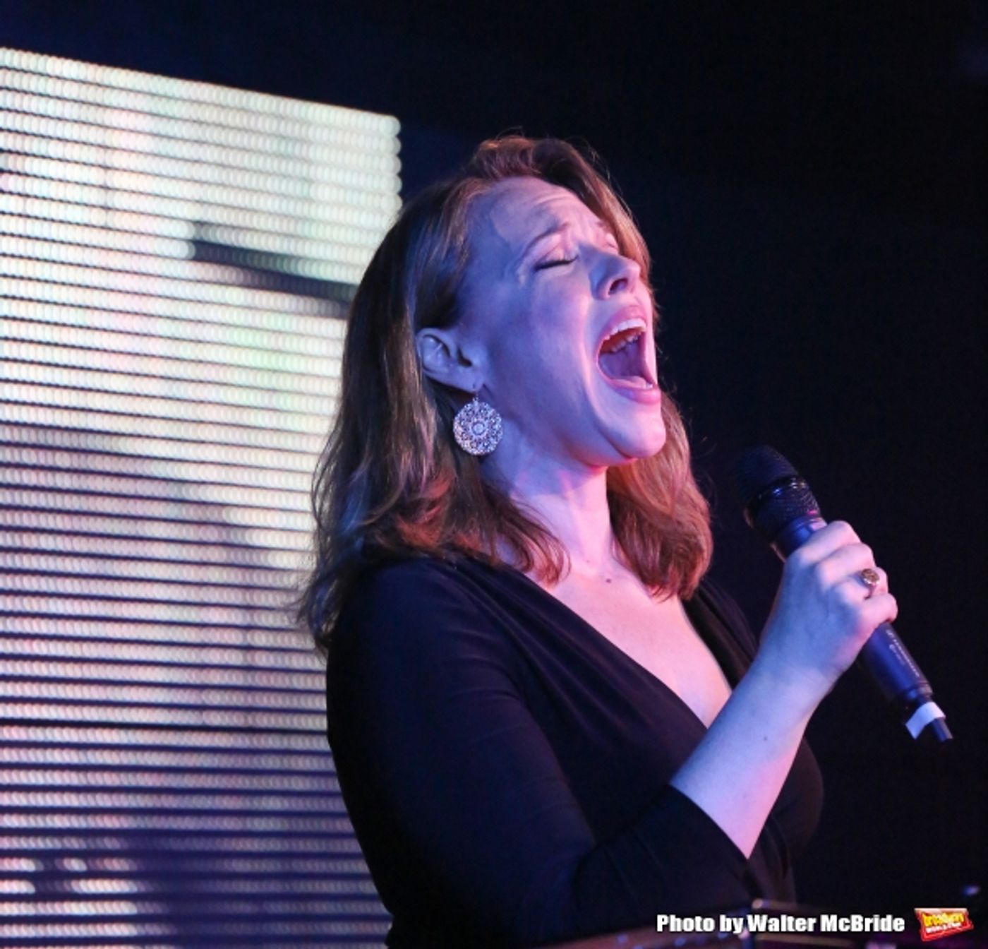 Photo Coverage: James Snyder, Jessie Mueller, Sierra Boggess & More Perform at NOT SINCE HIGH SCHOOL Concert! Image