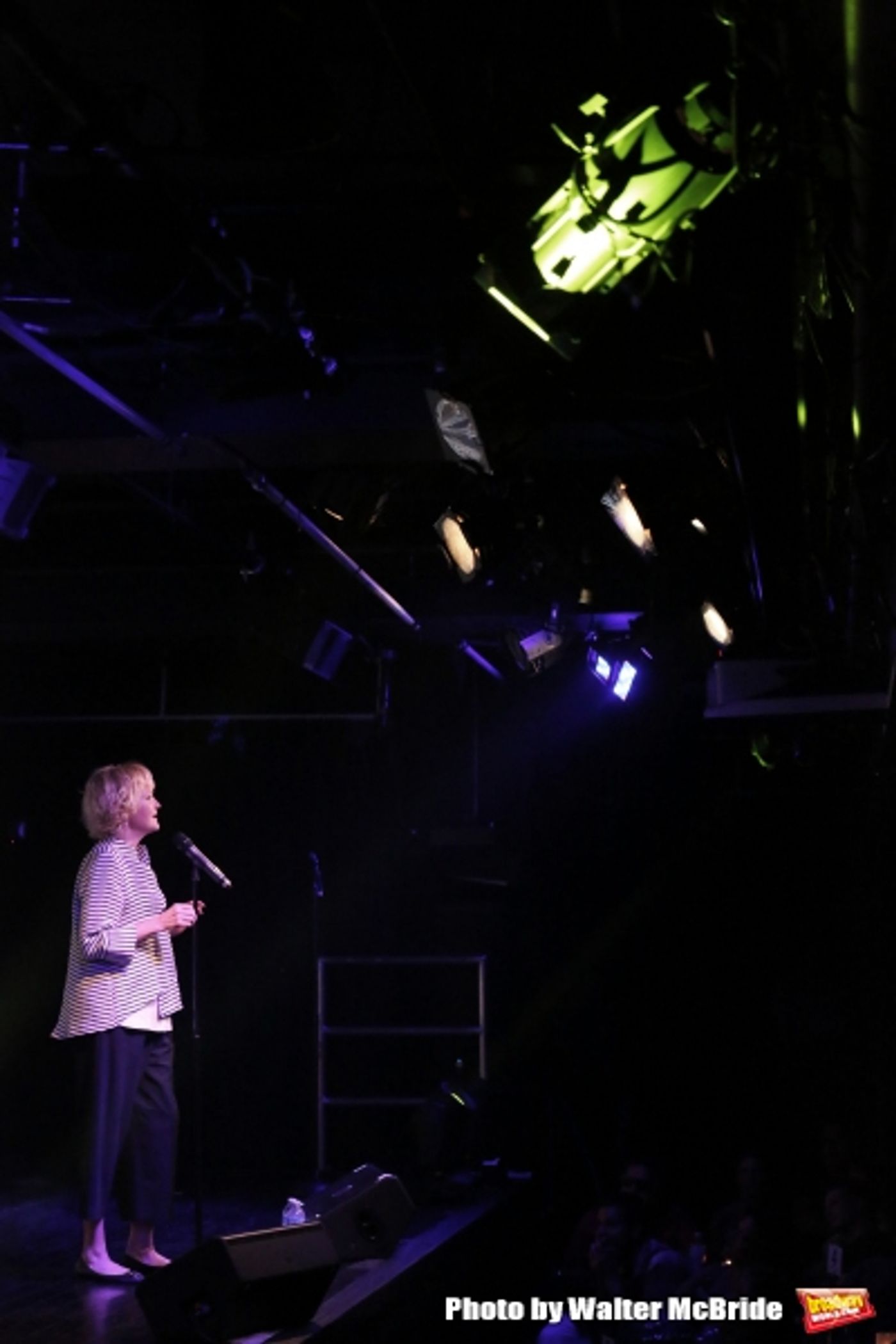 Photo Coverage: James Snyder, Jessie Mueller, Sierra Boggess & More Perform at NOT SINCE HIGH SCHOOL Concert! Image