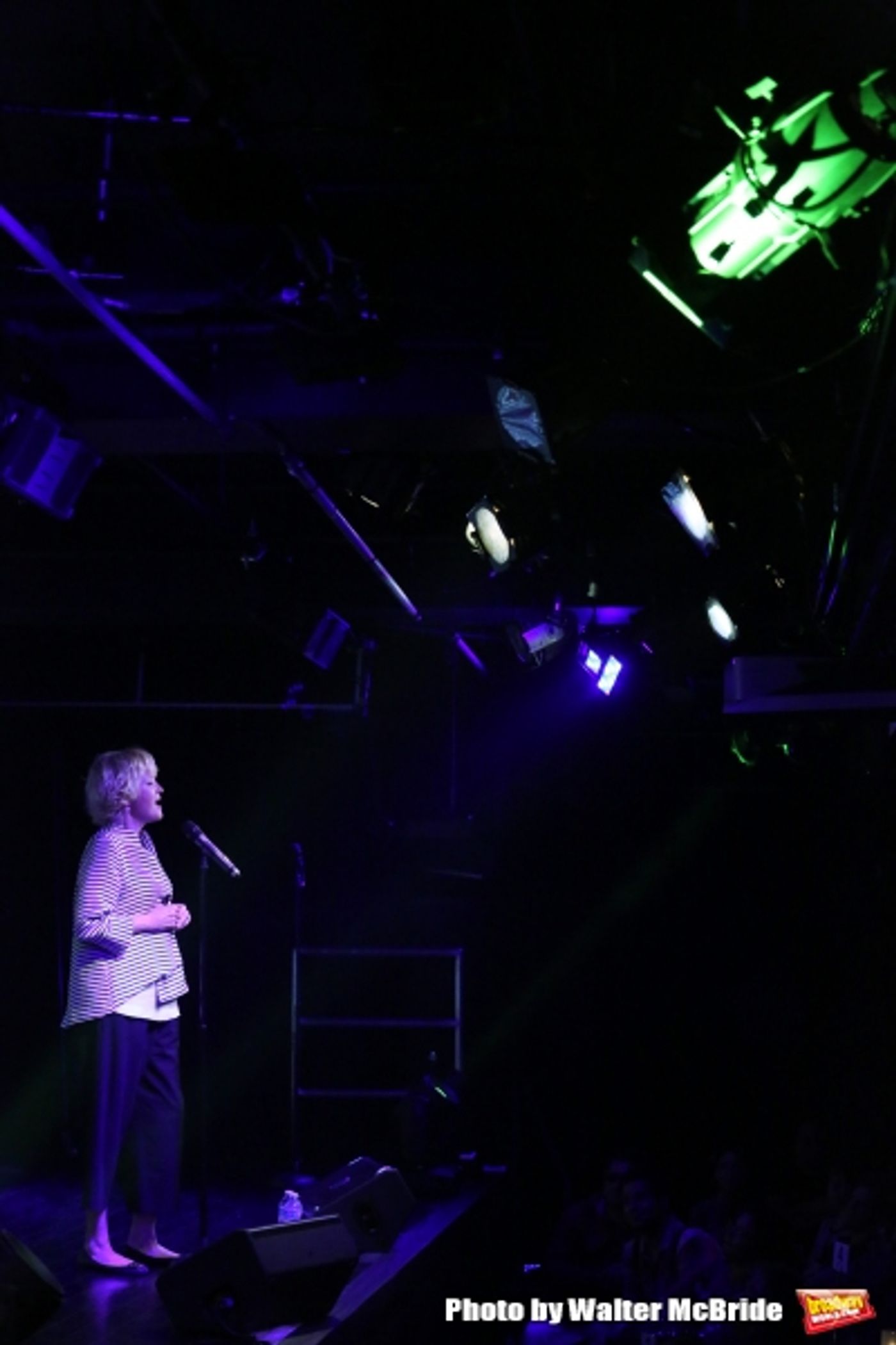 Photo Coverage: James Snyder, Jessie Mueller, Sierra Boggess & More Perform at NOT SINCE HIGH SCHOOL Concert! Image